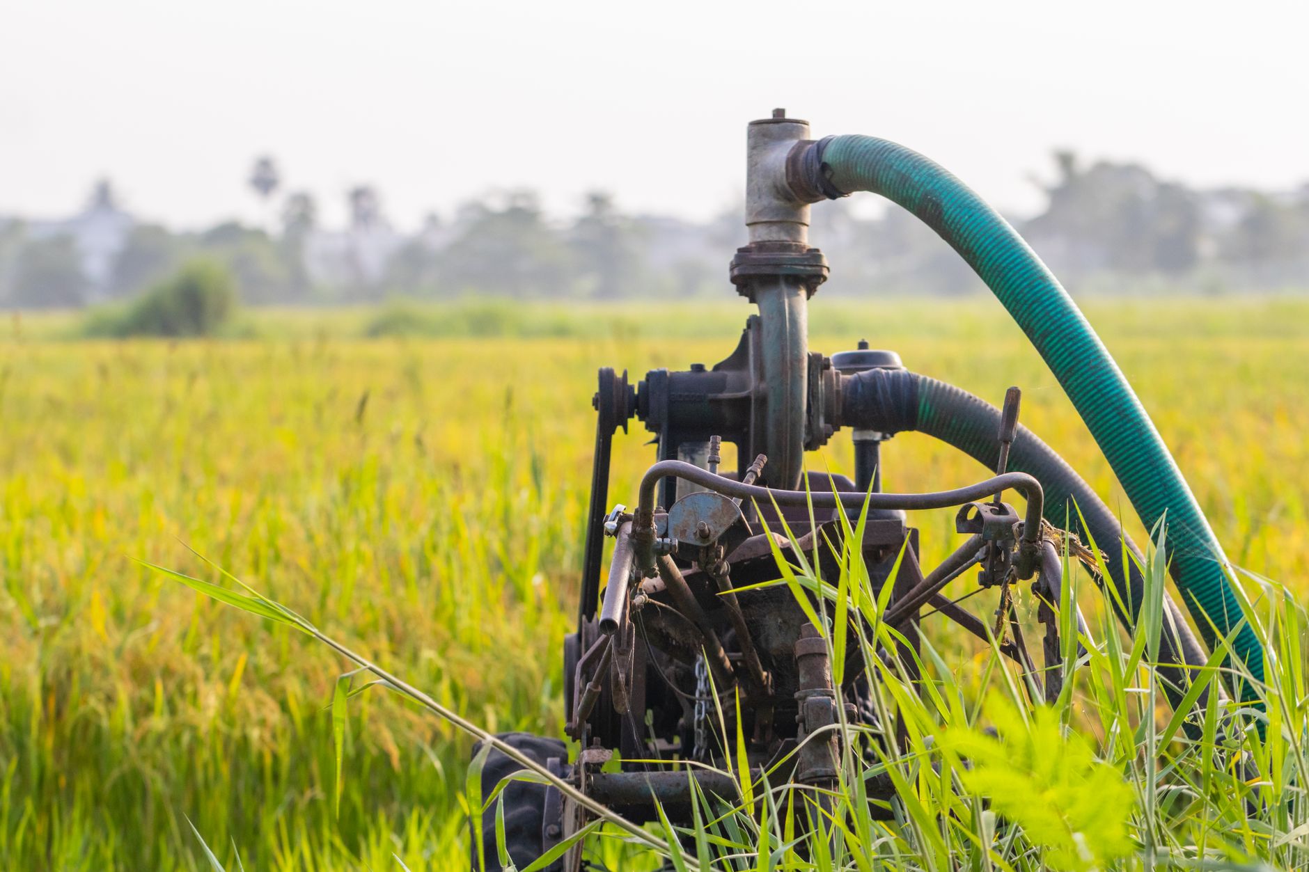 India's New RSVC-AMRIT Platform: A Boost for Rural Innovation