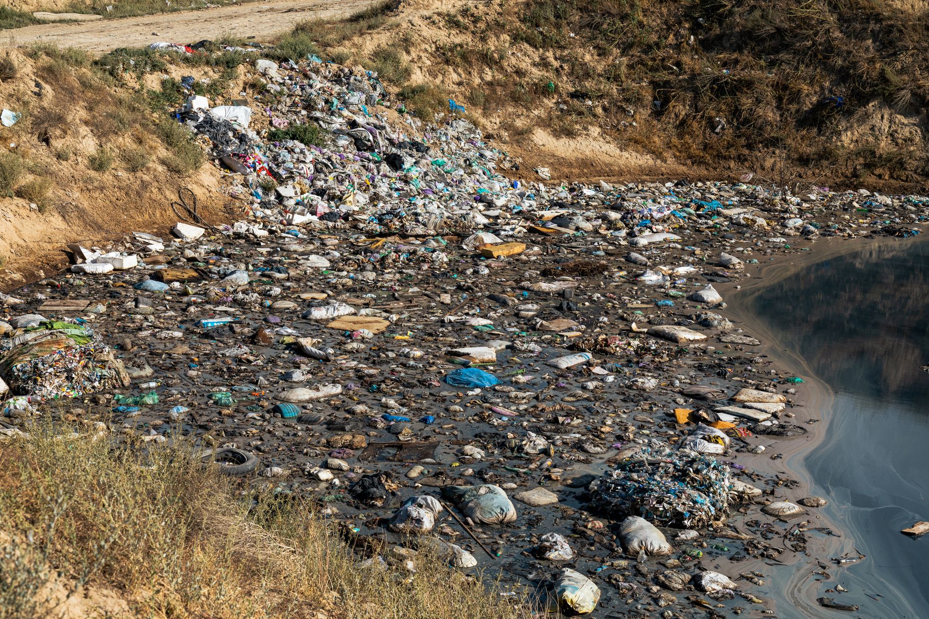 Courts Tackle Environmental Challenges with Significant Rulings