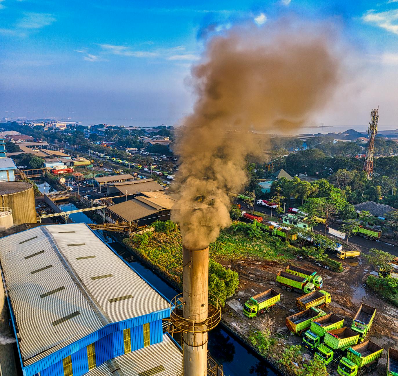 Navigating New Carbon Norms: Businesses Eye ESG Compliance