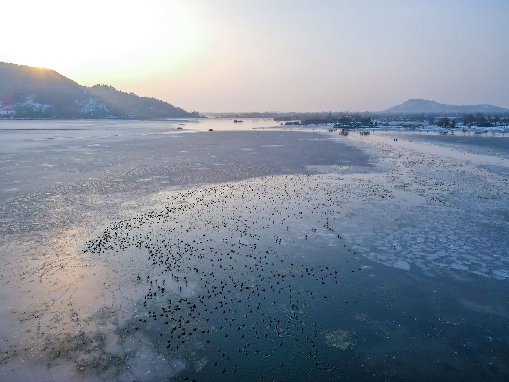 Kashmir's Dal Lake: A Pristine Beauty on the Brink