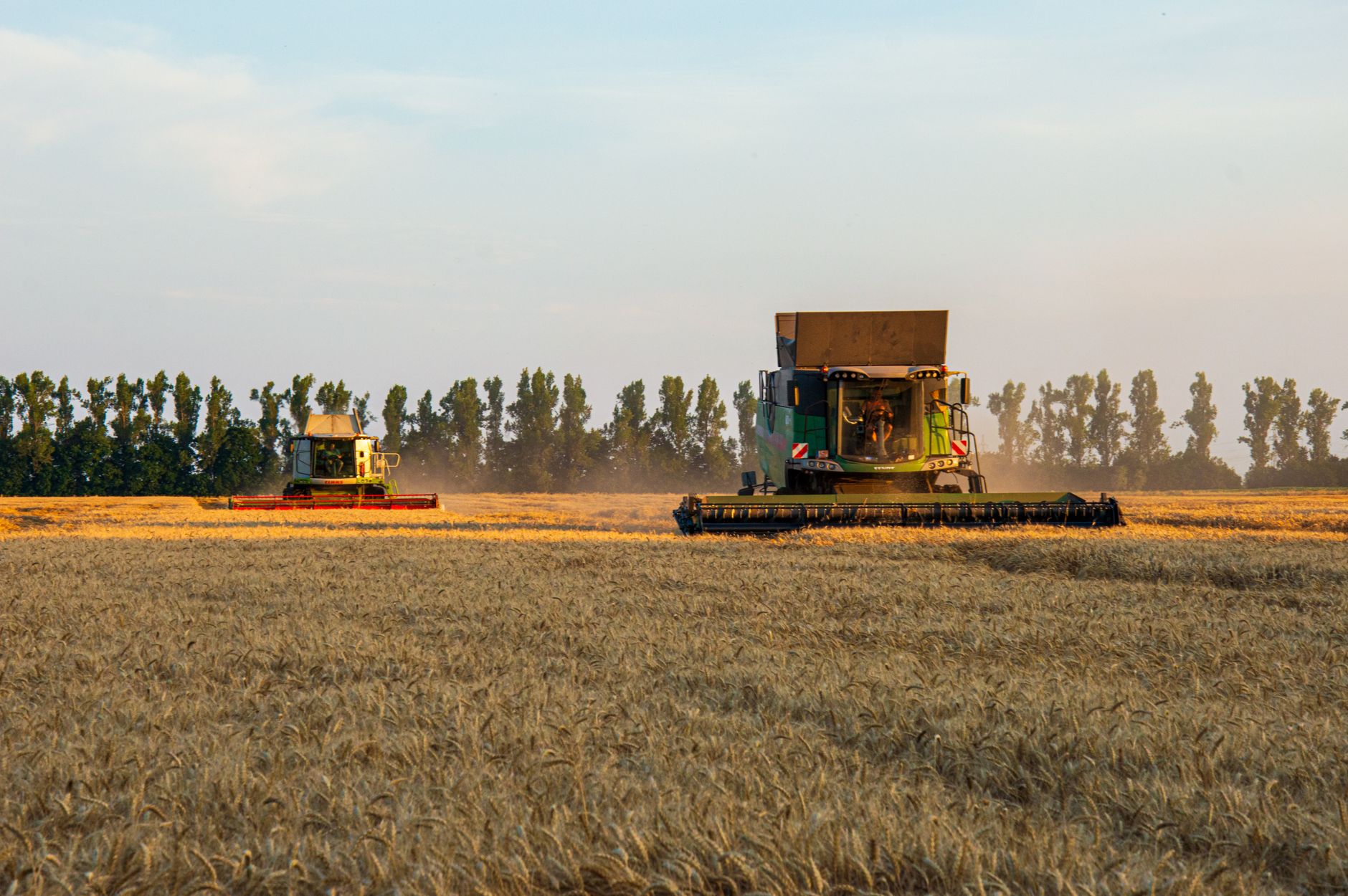 DeepMind's AI: Revolutionising Agriculture at Digital Speed