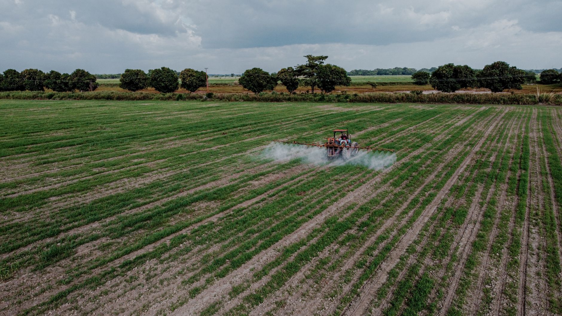 French Government Faces Crisis Amid Pesticide Controversy