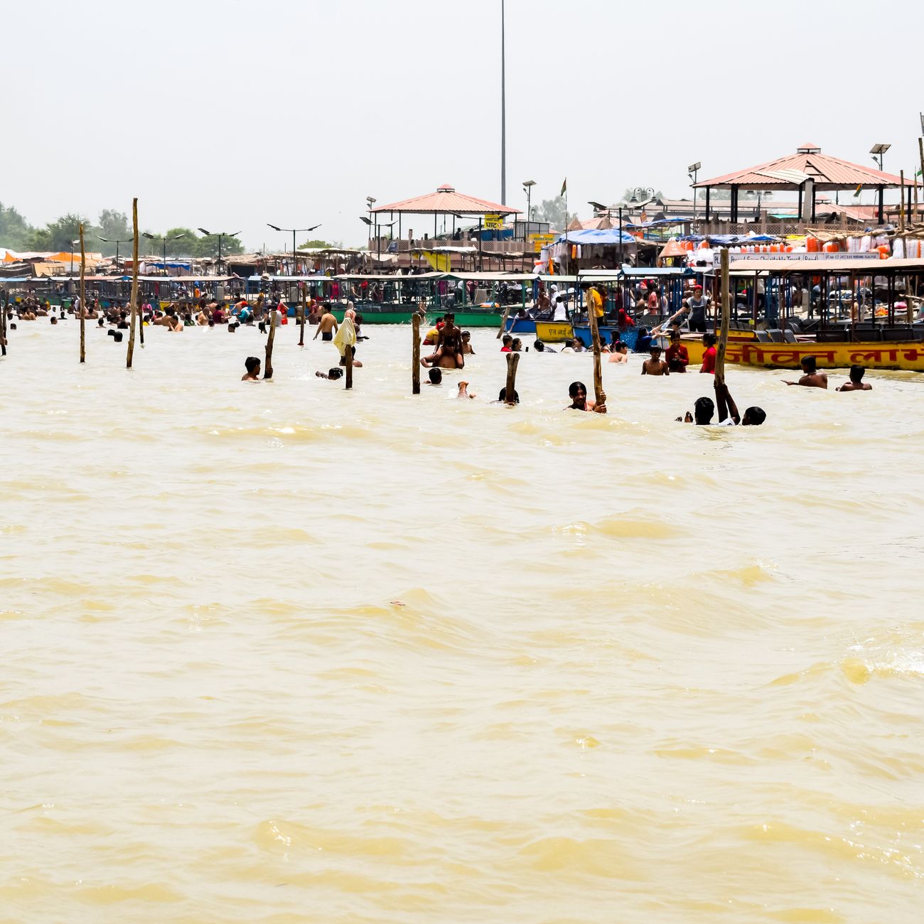 Top Scientist Resigns Over Ignored Warnings on Lucknow's Ganga Projects