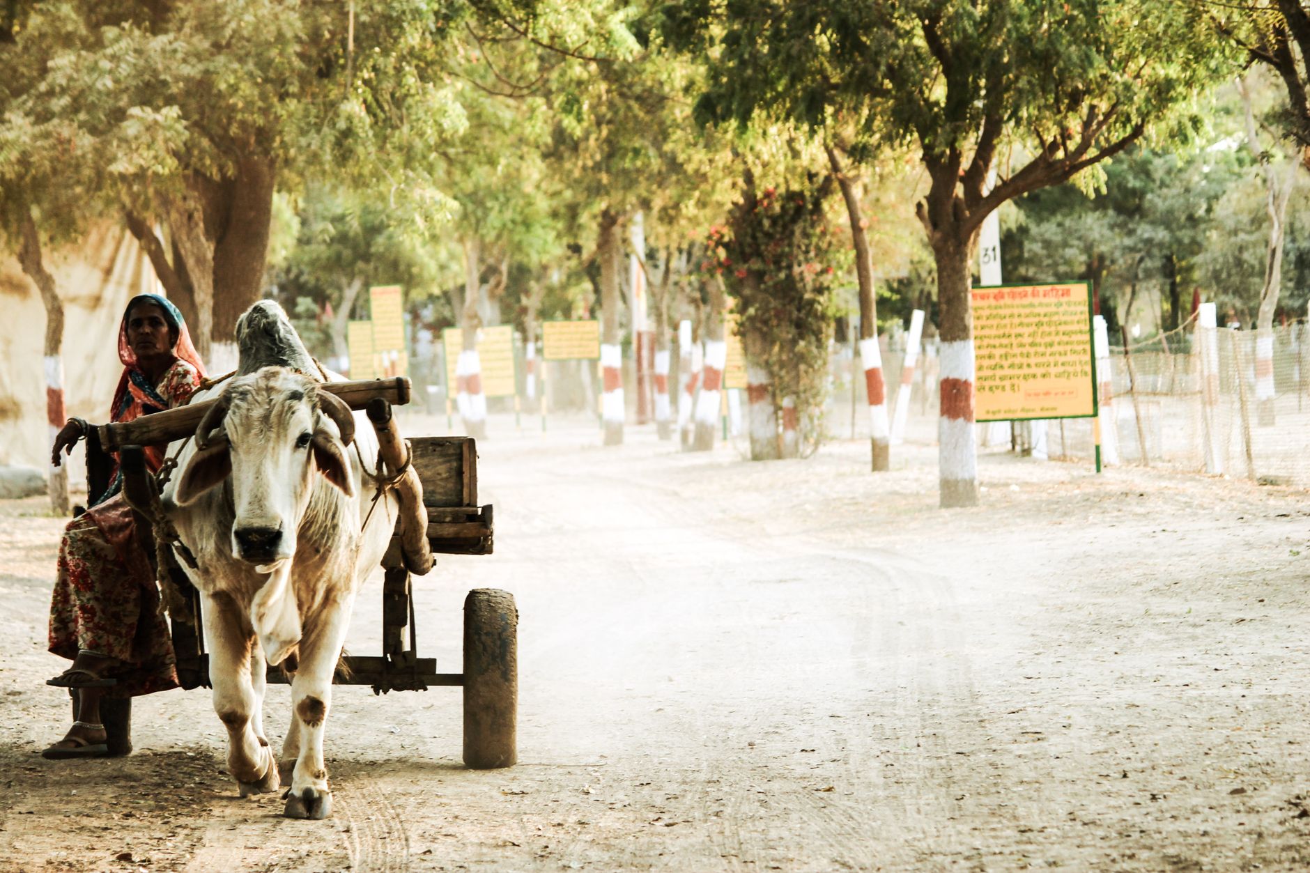 The Journey of India's First Educational Computer by Bullock Cart