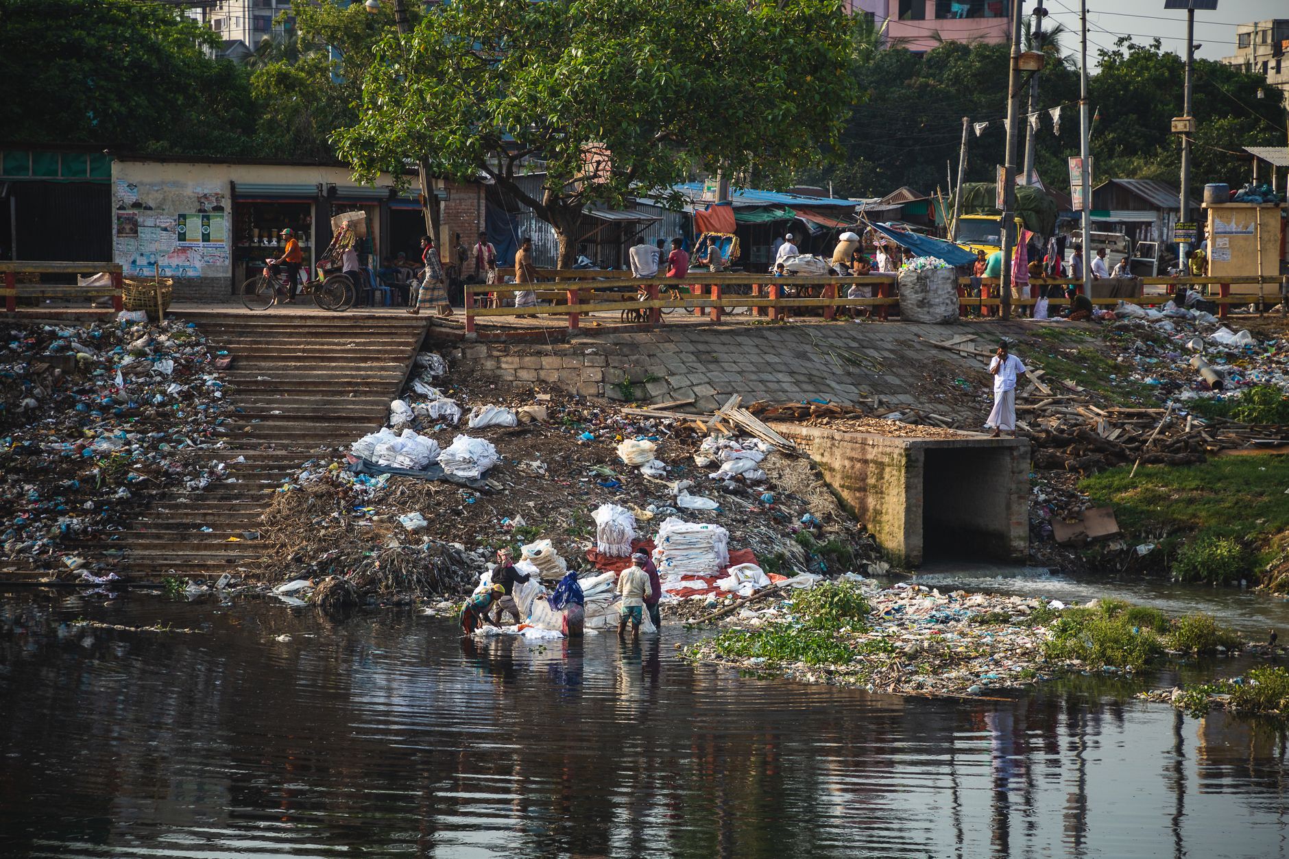 Chennai Mega Project Halted Over Wetland Violations