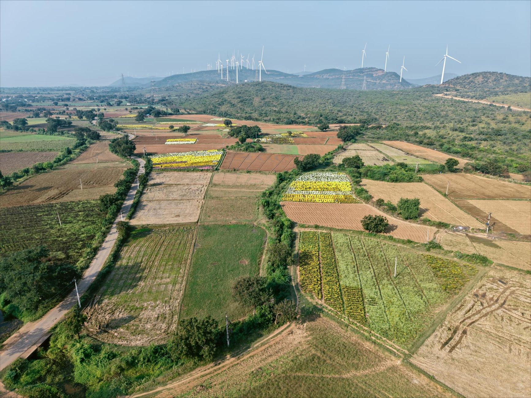 Centre's New Rules on Environment Panel Raise Eyebrows