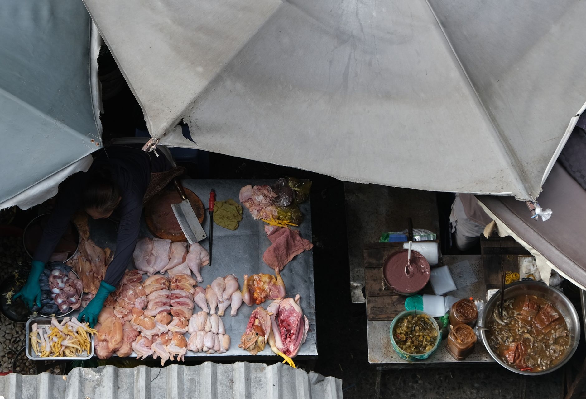 Global Food Poisoning Crisis: The Unseen Health Battle