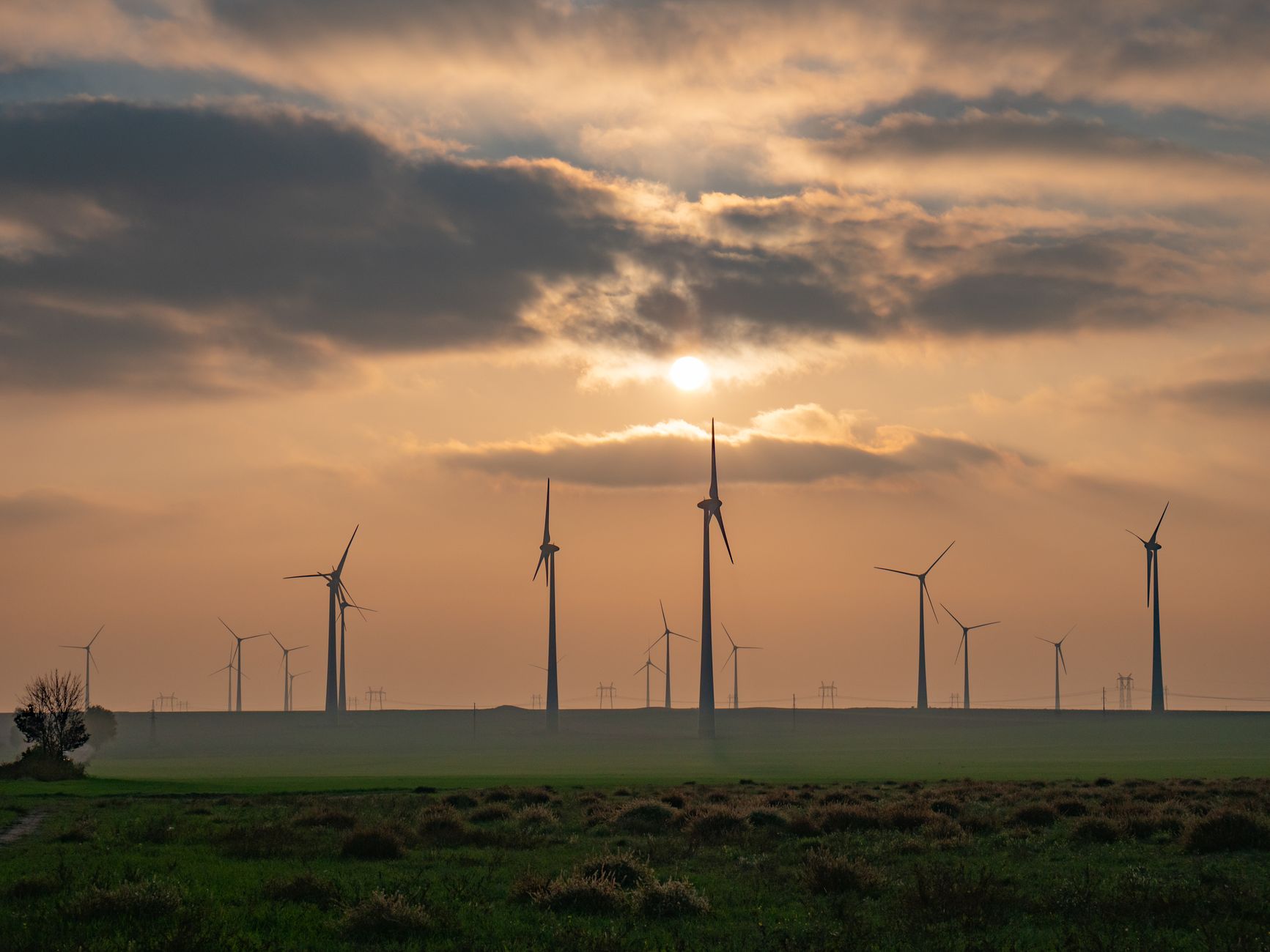 Scientists Identify Climate Solutions on the Verge of Major Breakthroughs