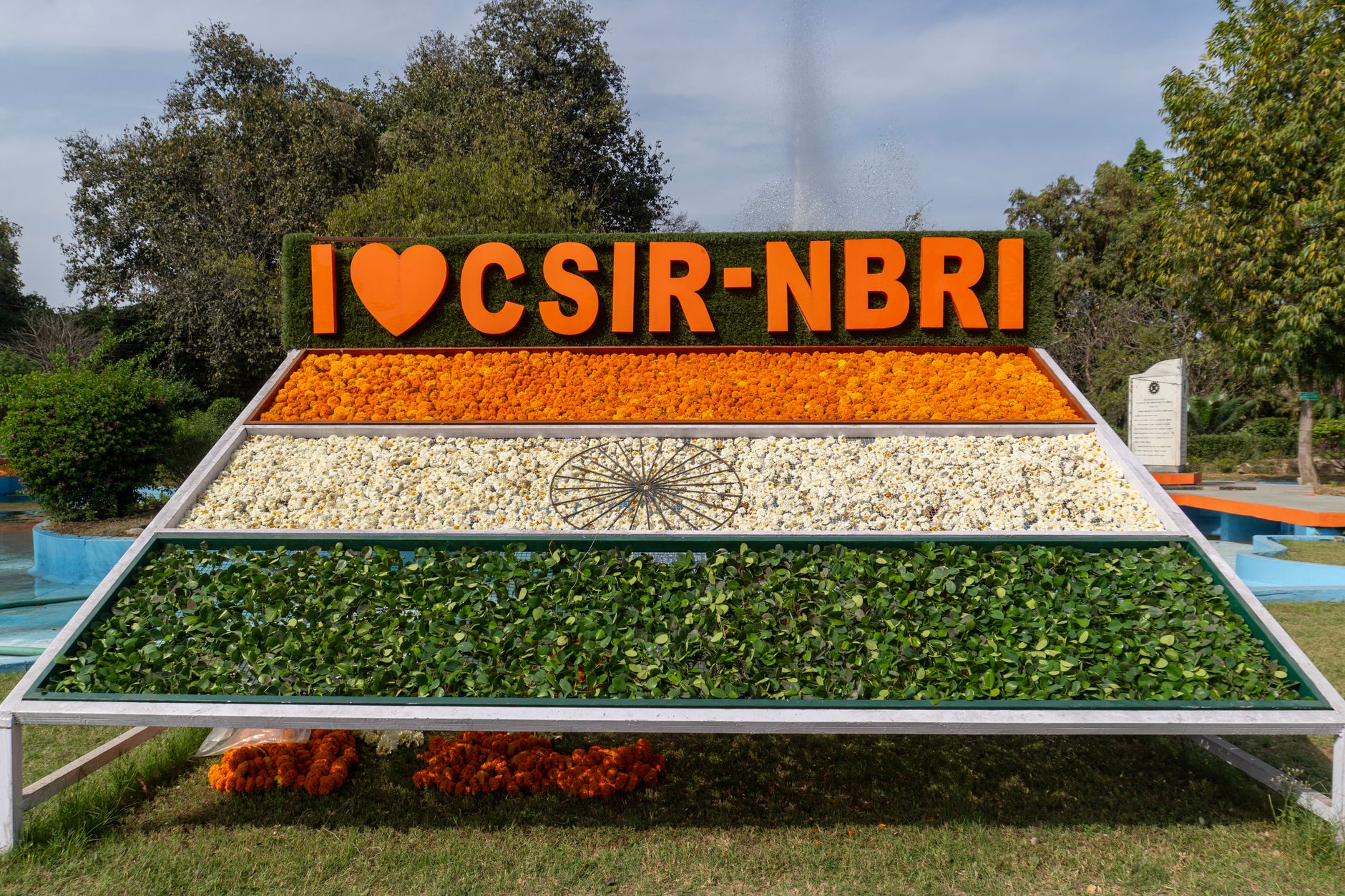 CSIR Unveils Science Magazines in India's Regional Languages