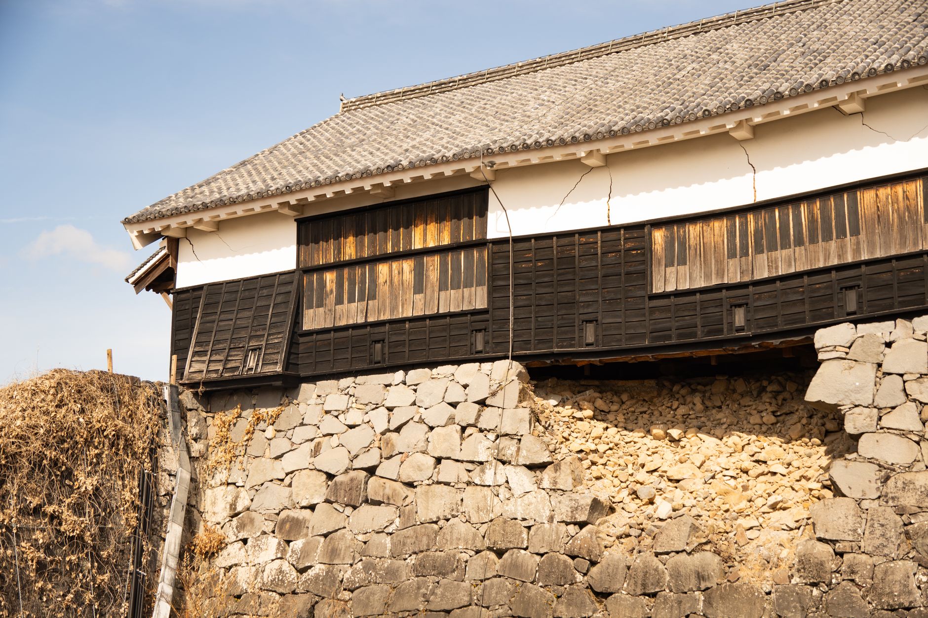 Seismic Resilience: The Silent Architect of Survival