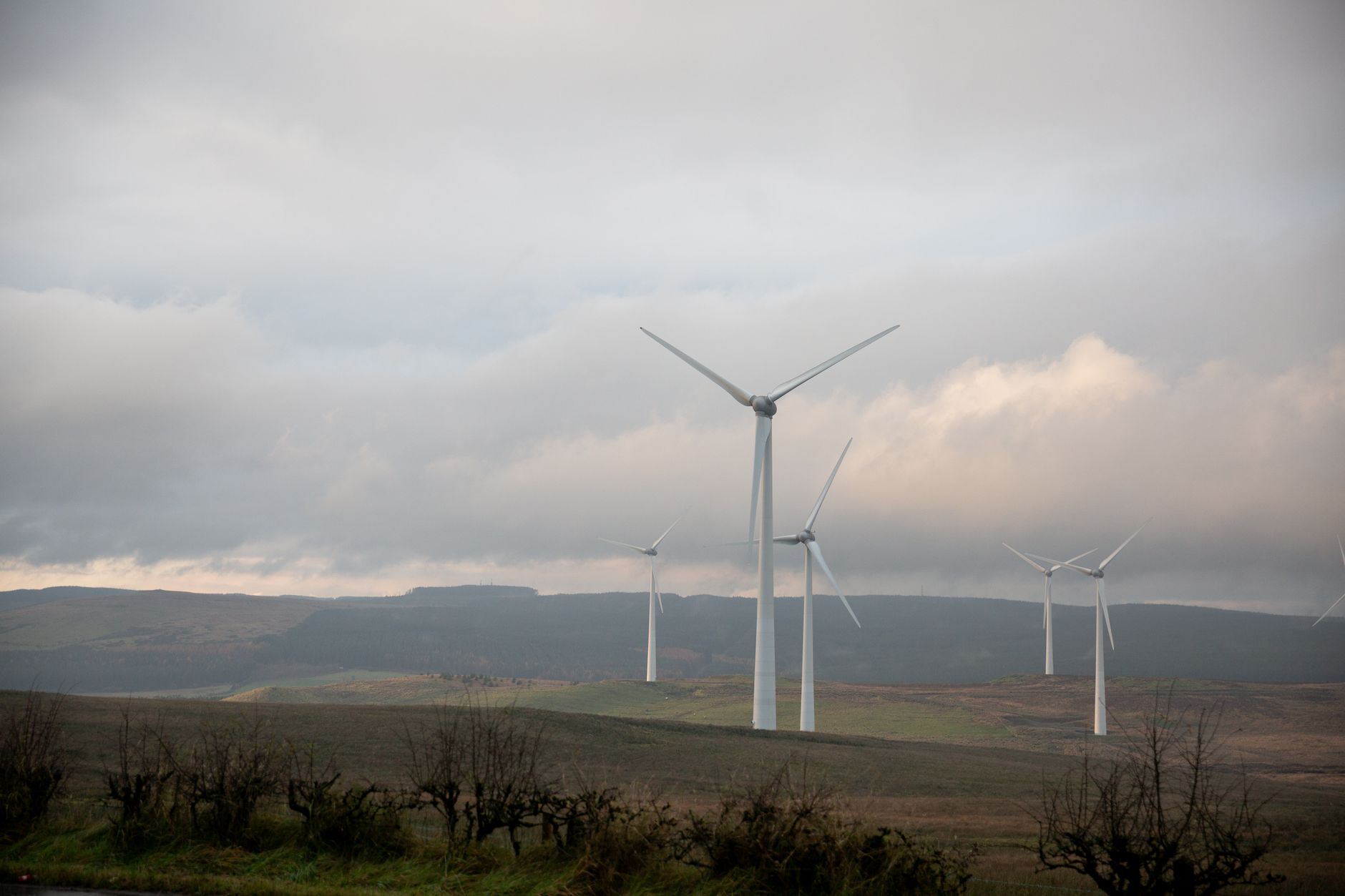 Conservatives Aim to Abolish Key Environmental Agencies