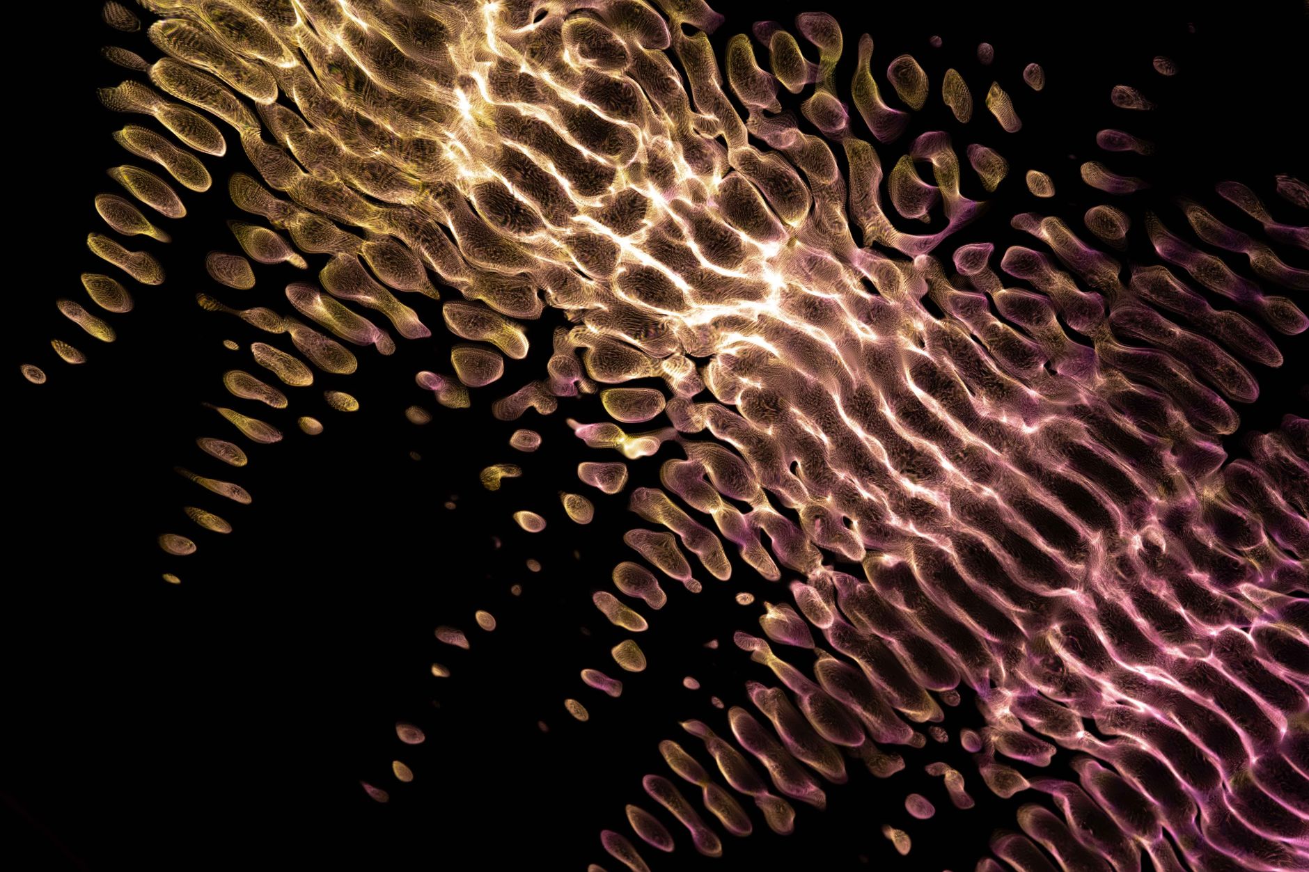 Have Scientists Finally Unveiled a Dark Matter Particle?
