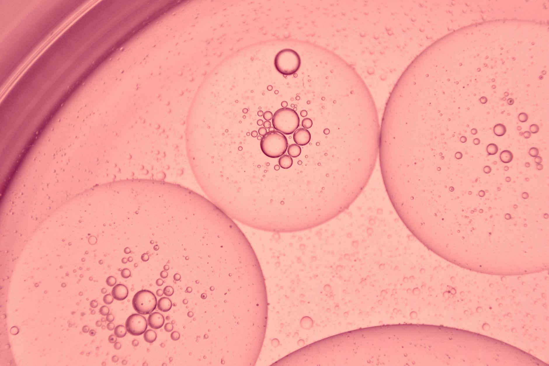 Scientists Develop 'Molecular Armour' to Transform Laundry