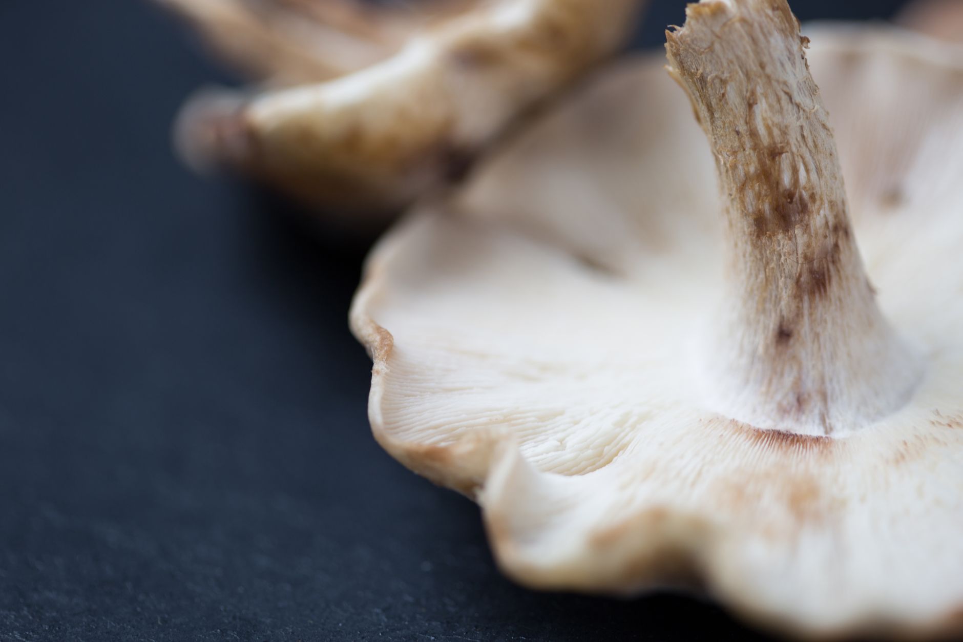 Fungal Toxins Found in All Tested Plant-Based Meats in UK Study
