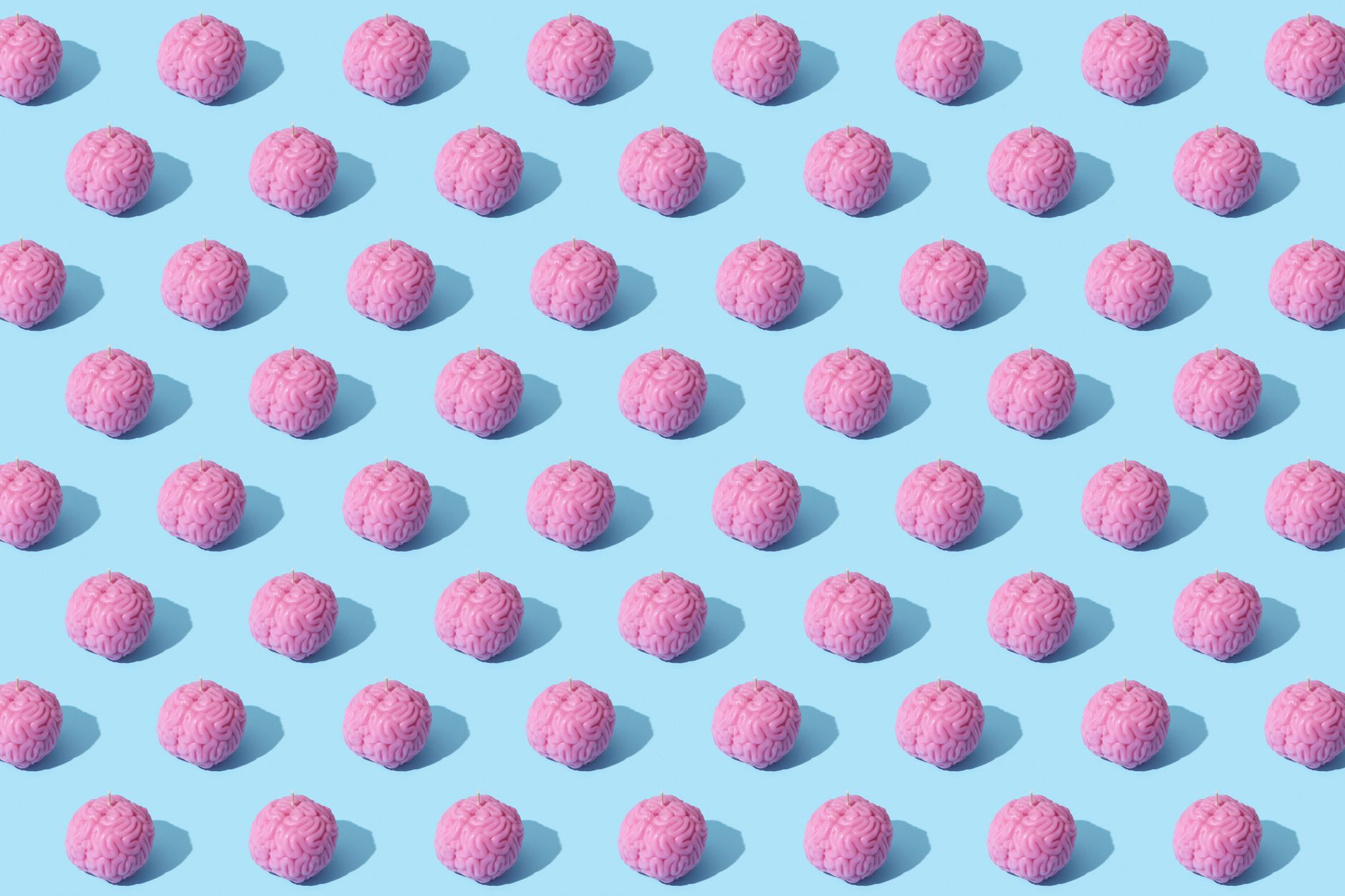 Unravelling the Intricate Path from a Single Cell to a Brain