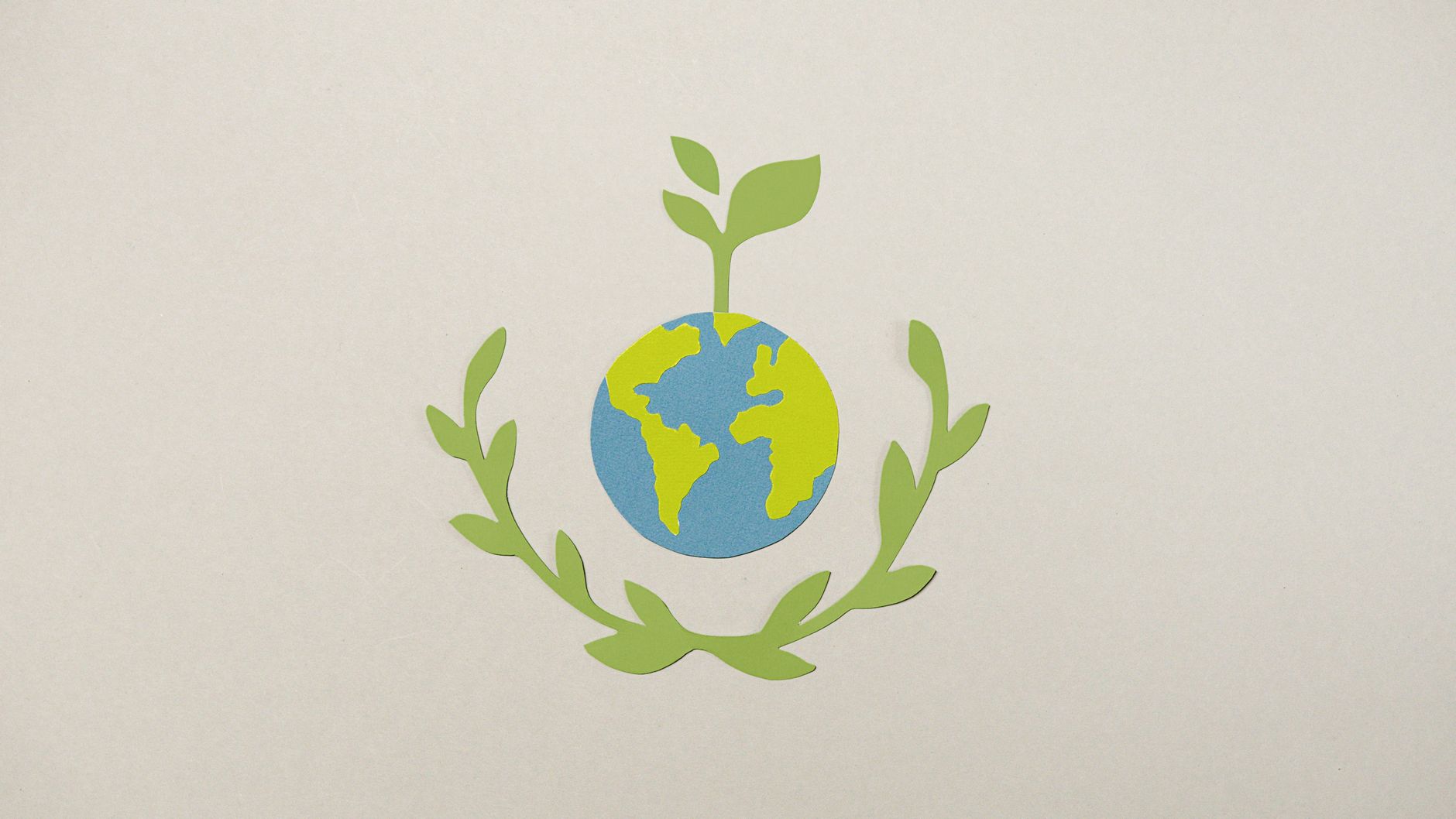 Valmiki University's Green Initiative: A Step Towards Sustainability