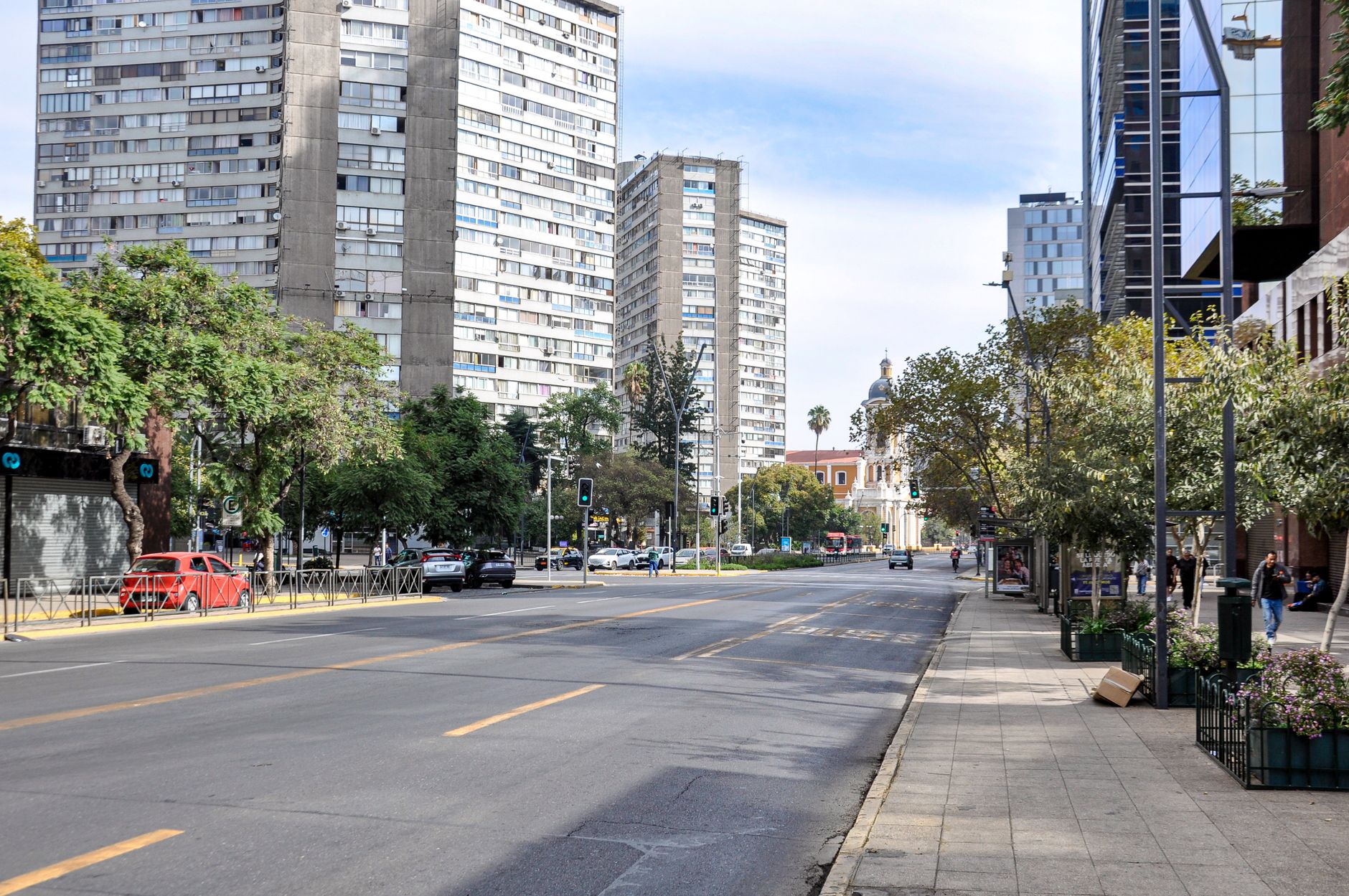Chile Pioneers Rabies Elimination in South America