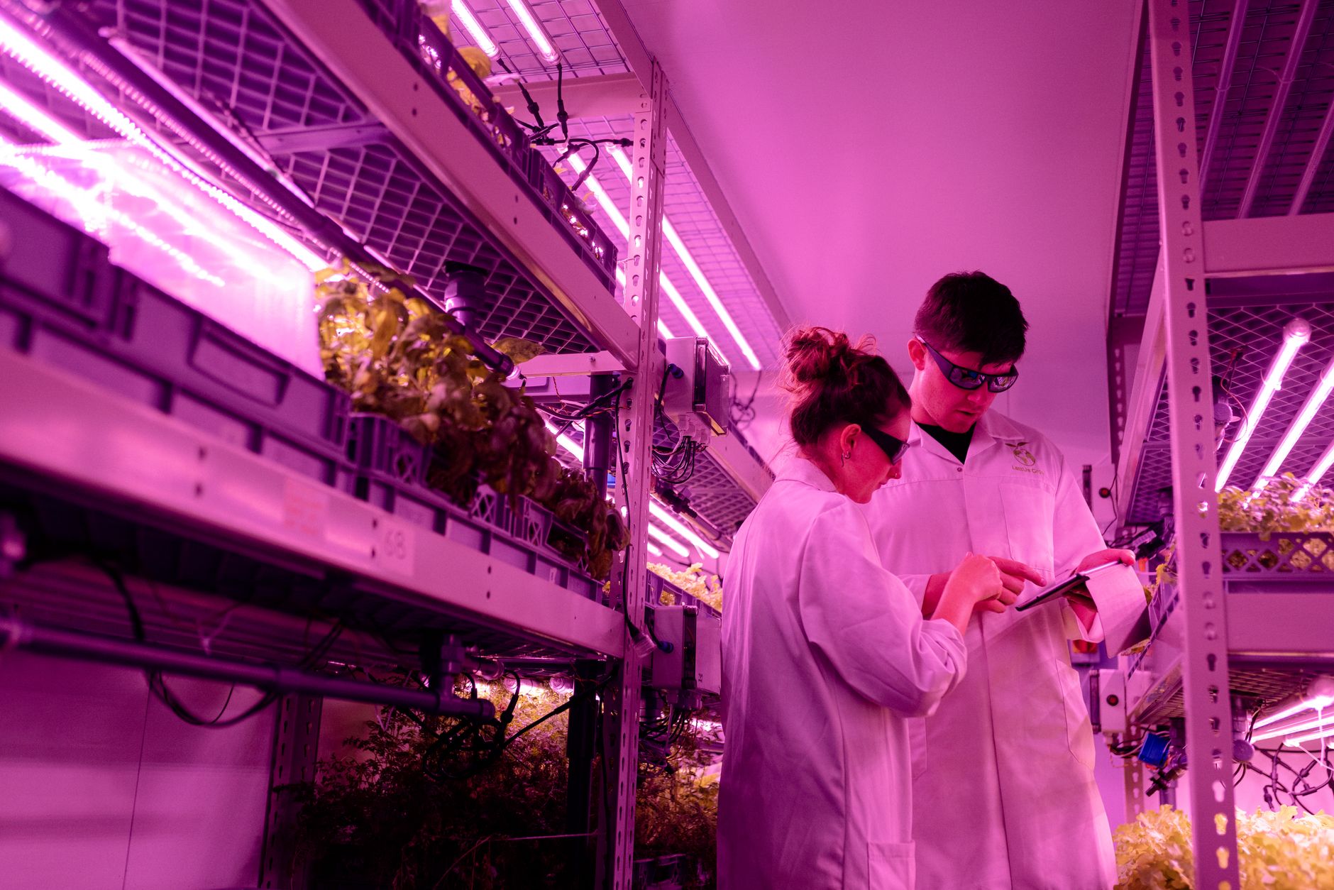 Innovating to Nourish: The Quest to Feed 10 Billion