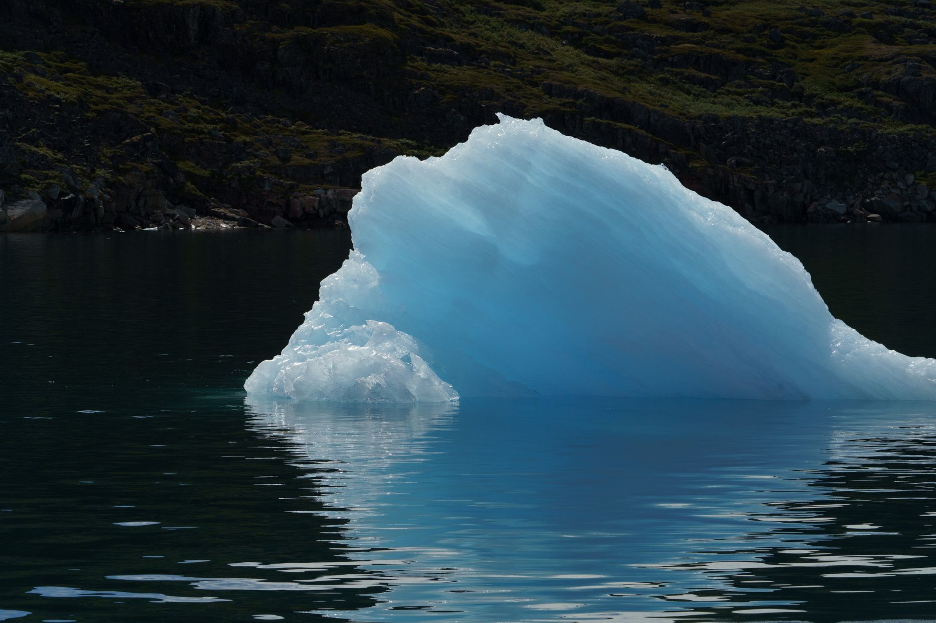 A Week of Scientific Wonders: Time in a Mini-Universe and More