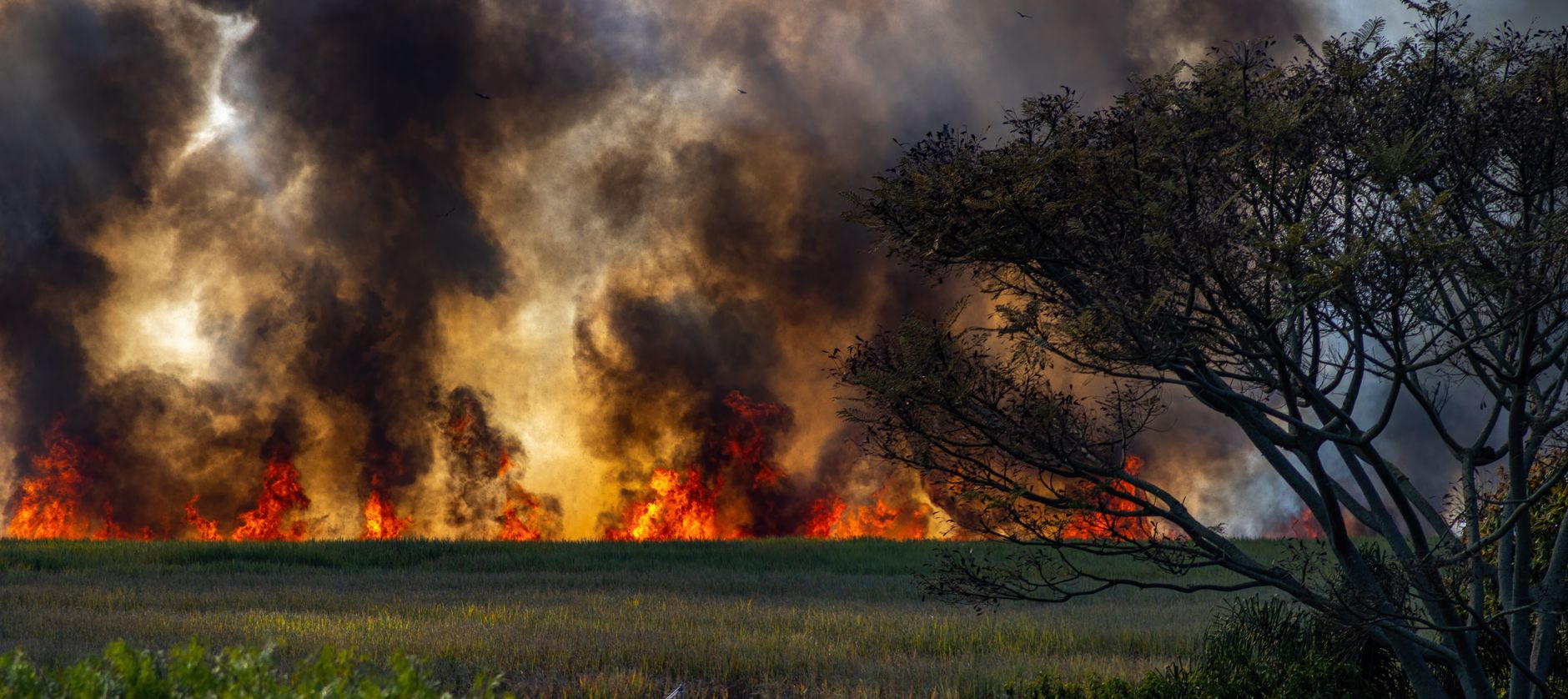 UN Raises Alarm: Wildfires and Heatwaves Threaten Health