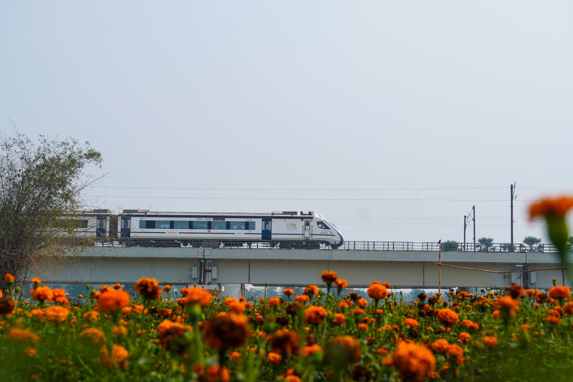 Indian Railways' Bold Bet: The Economic Case for Vande Bharat