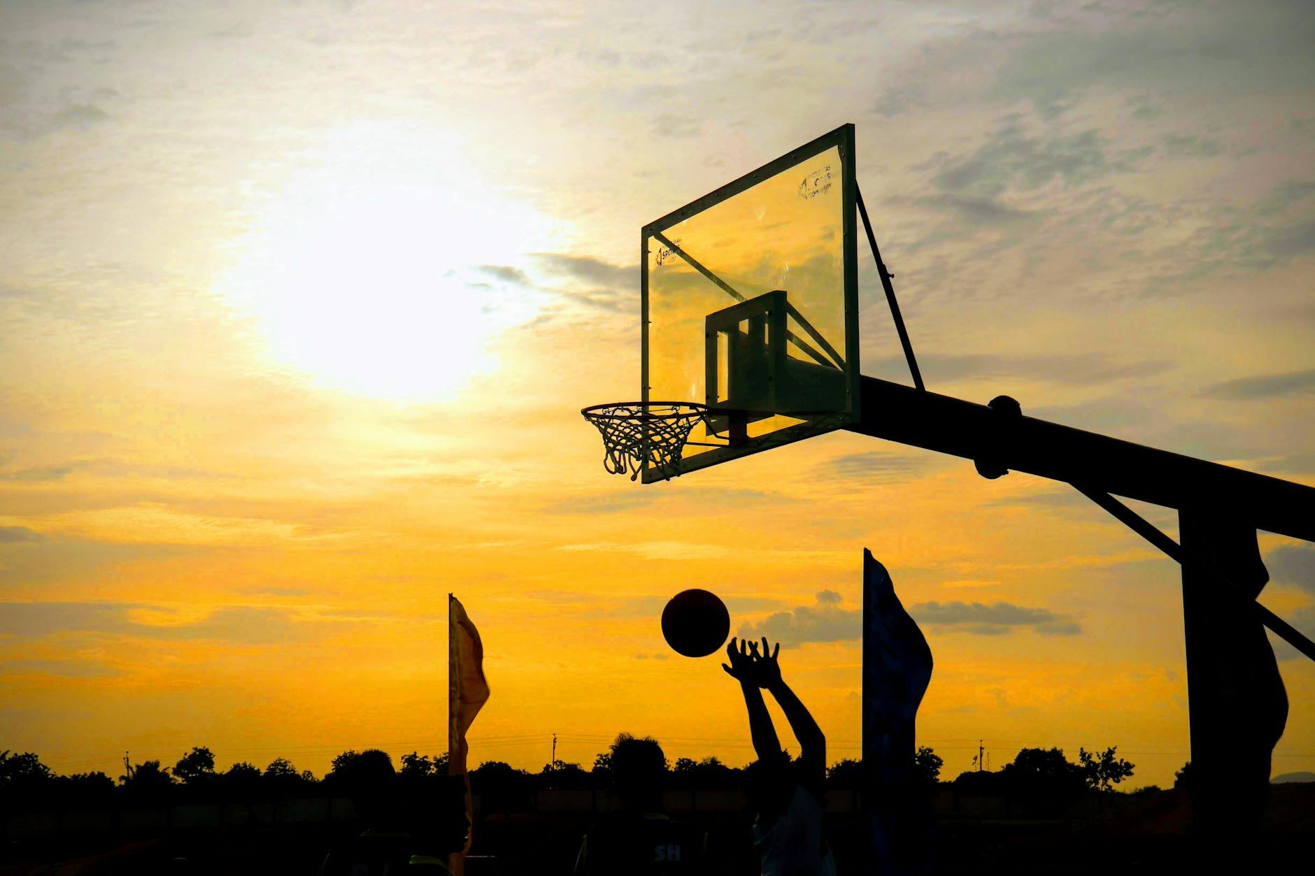 Andhra Pradesh's Sports Vision: A New Era Begins
