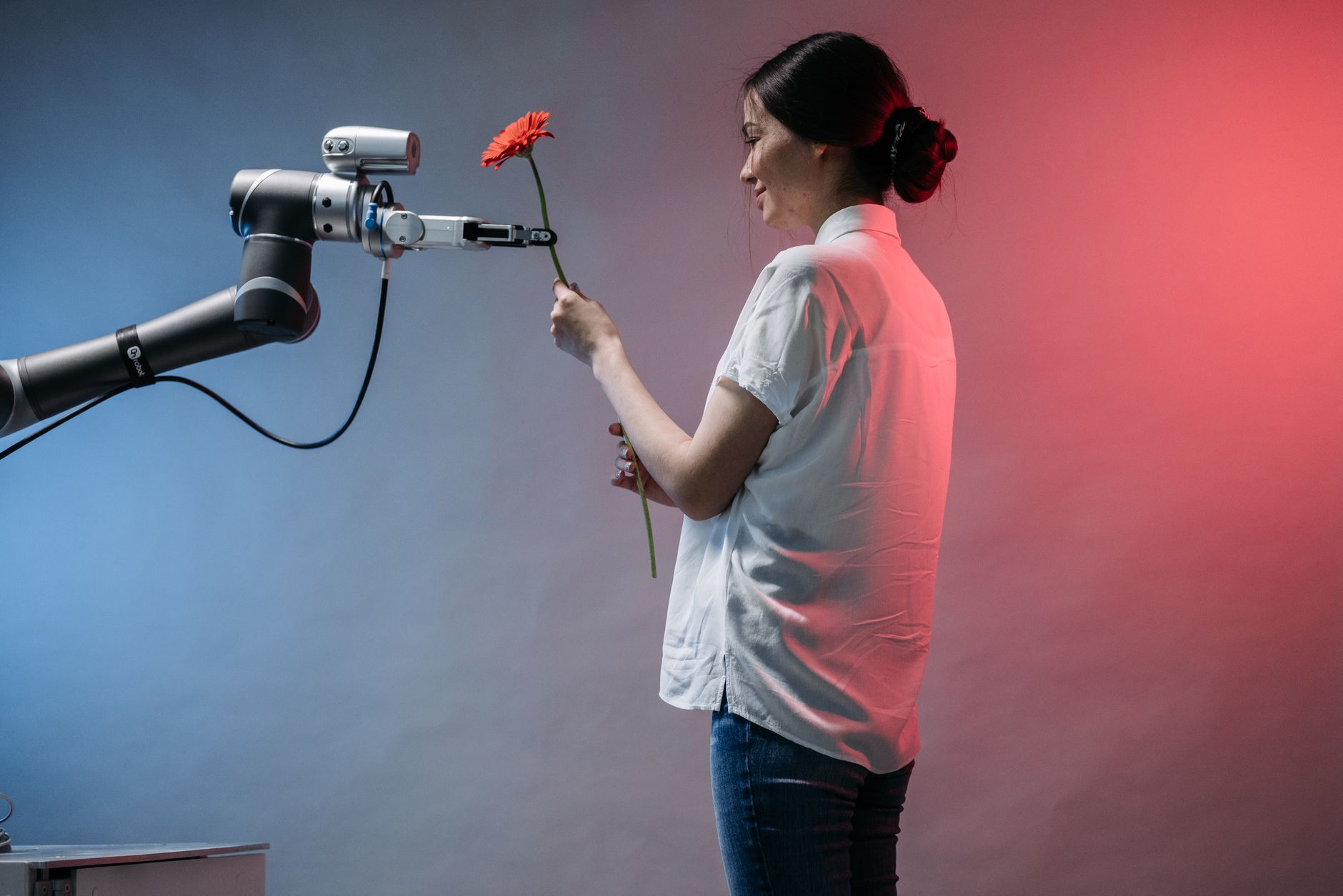 Anthropic Calls for AI Halt Amid Fears of Losing Human Control