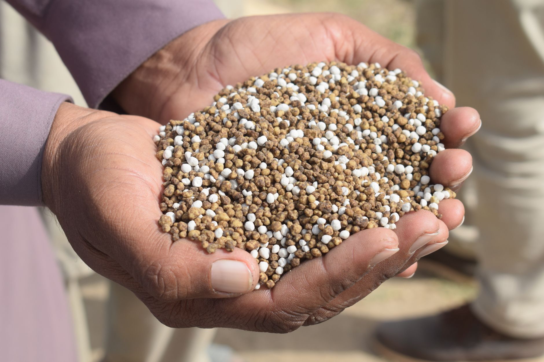 Fatima Fertilizer Partners with Punjab for a Greener Future