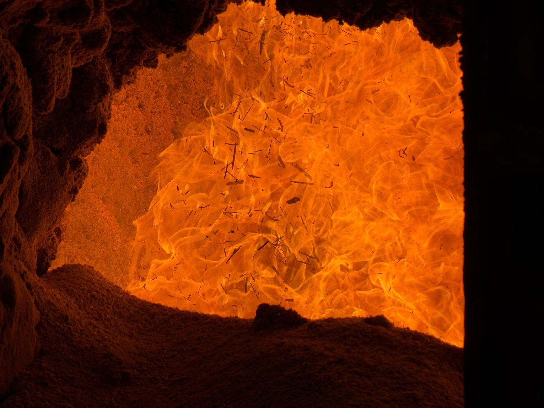 NASA-Funded Discovery: Life Thrives in Record Heat