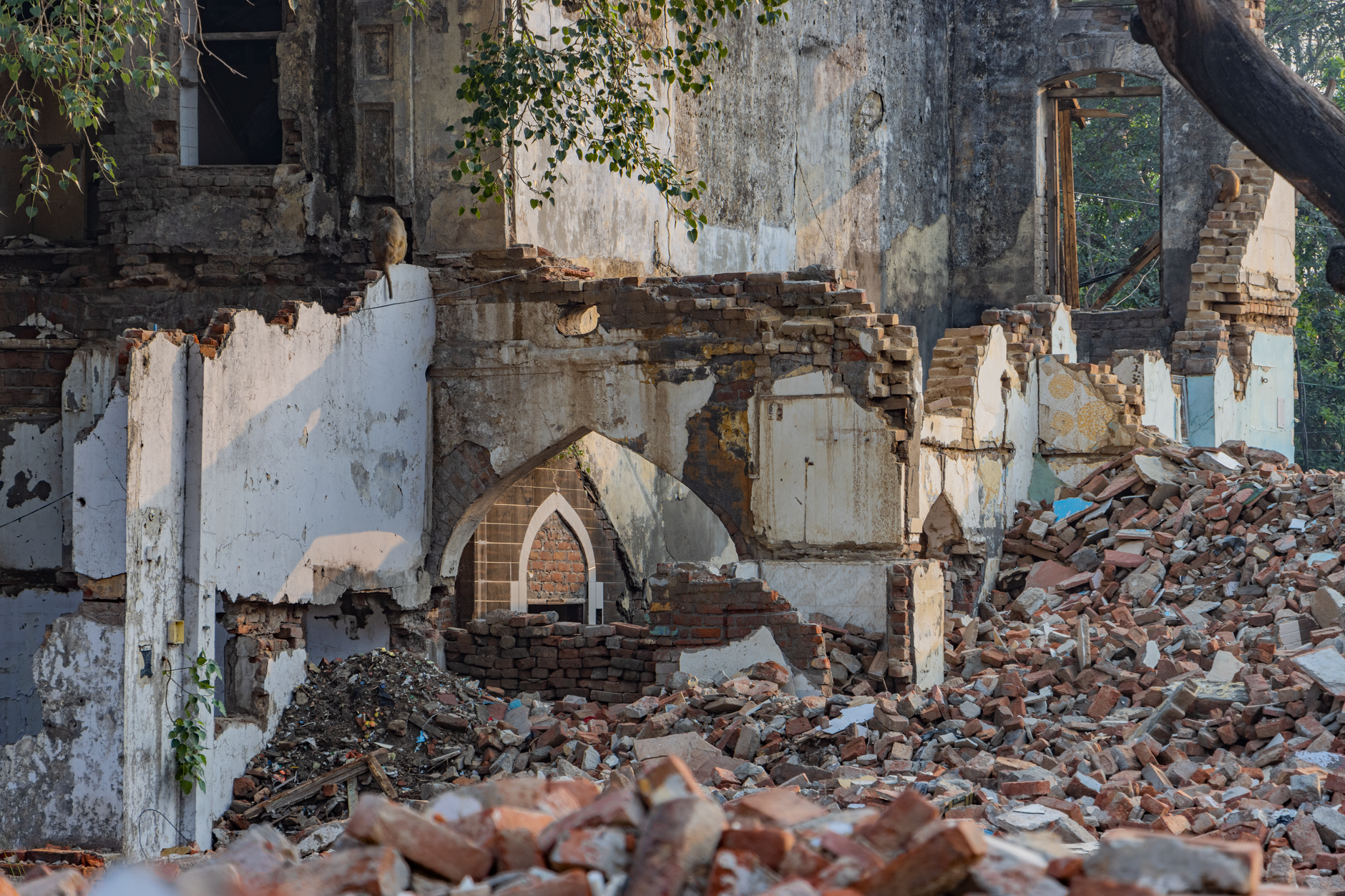 Court Orders Shake Environmental Governance in India