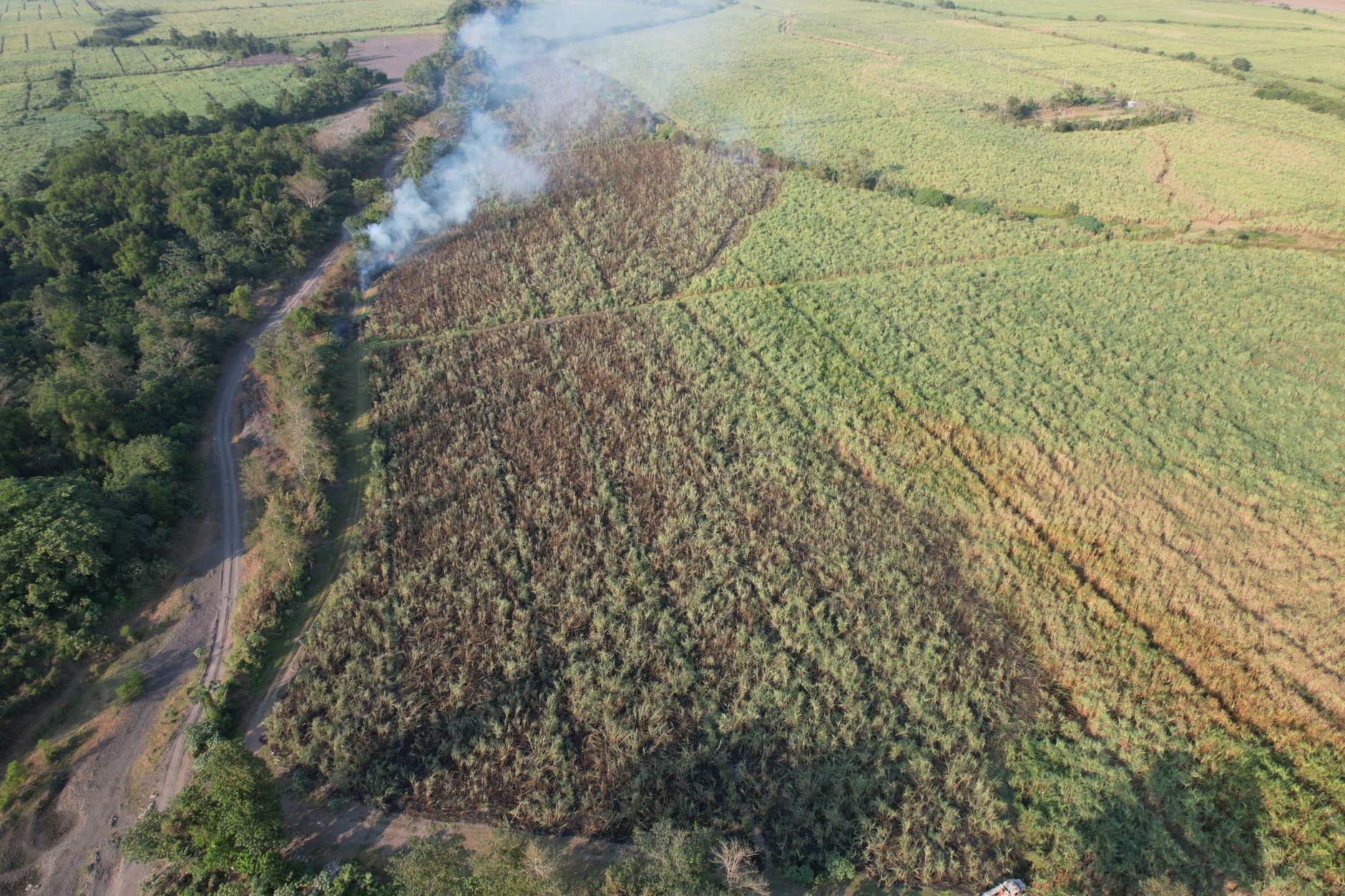 Gadkari Champions AI and Drones to Revolutionise Sugarcane Farming