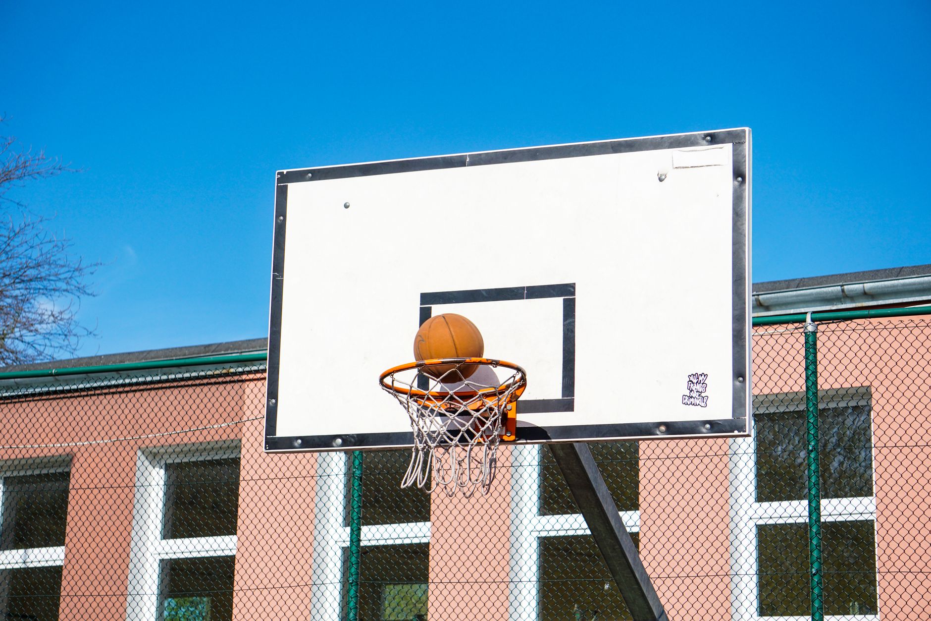 J&K DYSS Detaches Physical Education Staff from Sports Council
