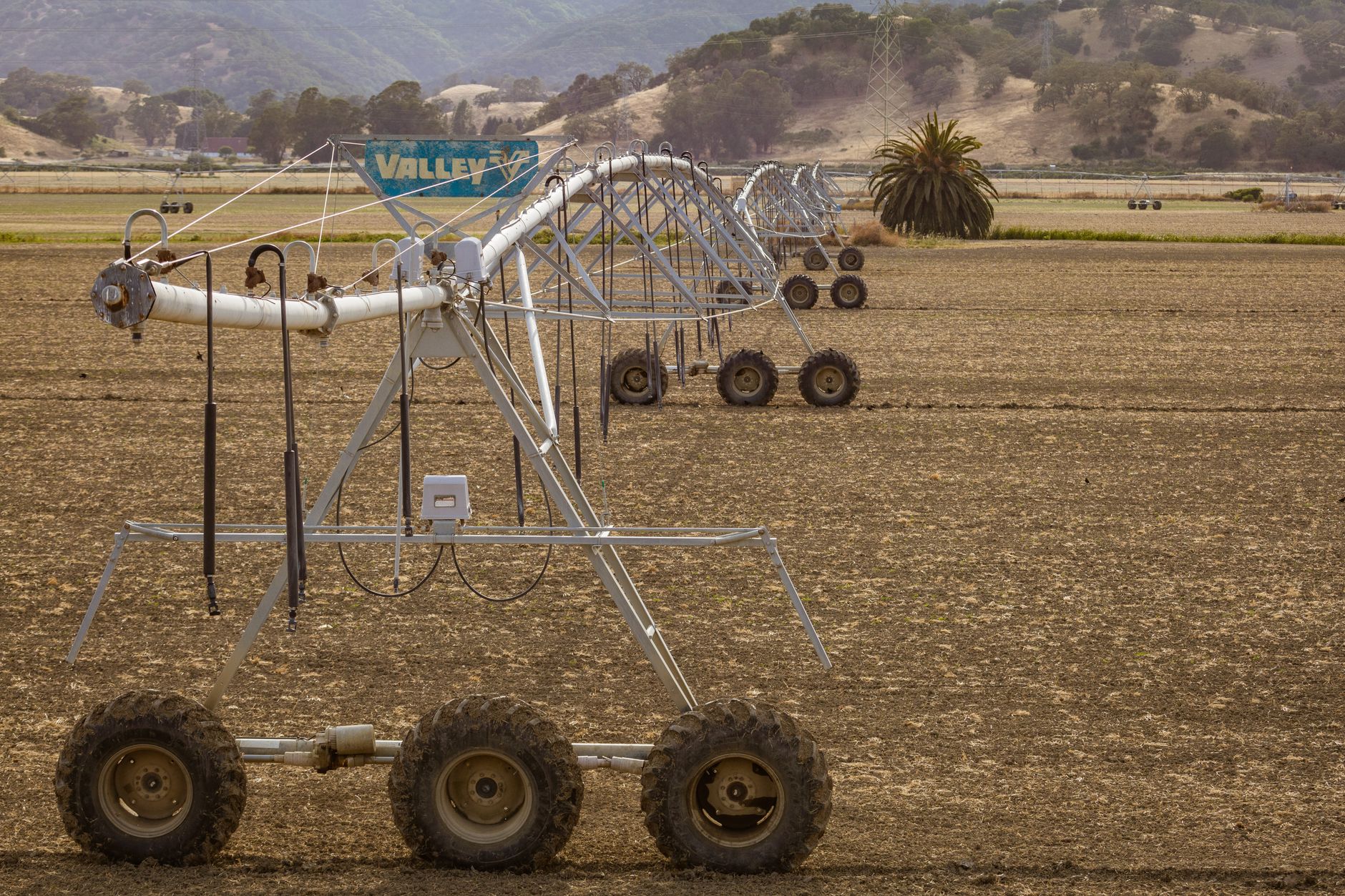 Navigating the Delicate Equilibrium: Groundwater and Crop Demands