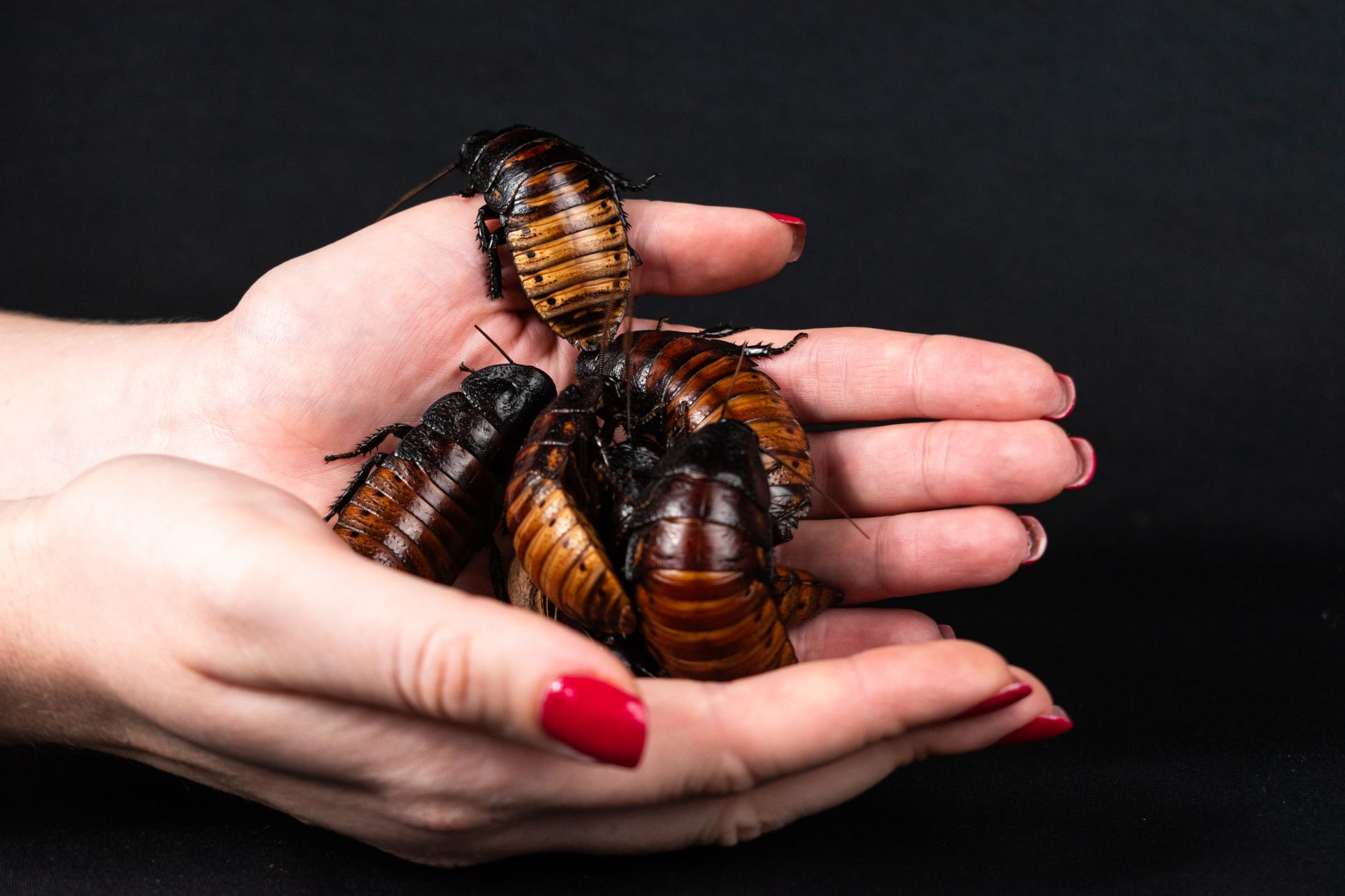 The Fascinating Science Stories You Nearly Missed