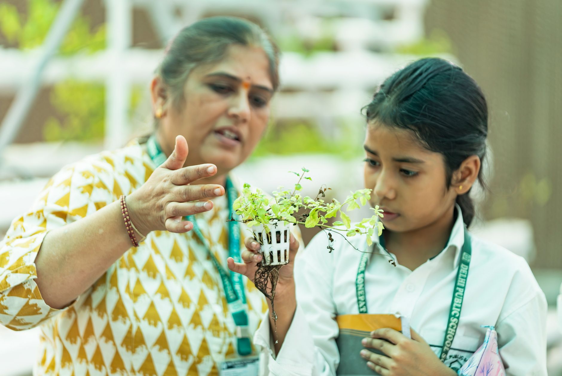 Teachers Gather to Inspire Young Minds at Science Camp