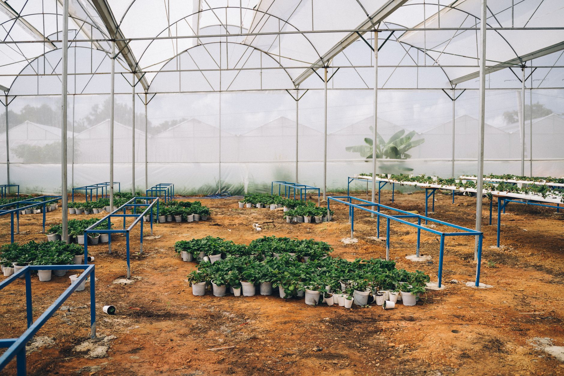 Modi Calls on Space Startups to Tackle Agricultural Challenges