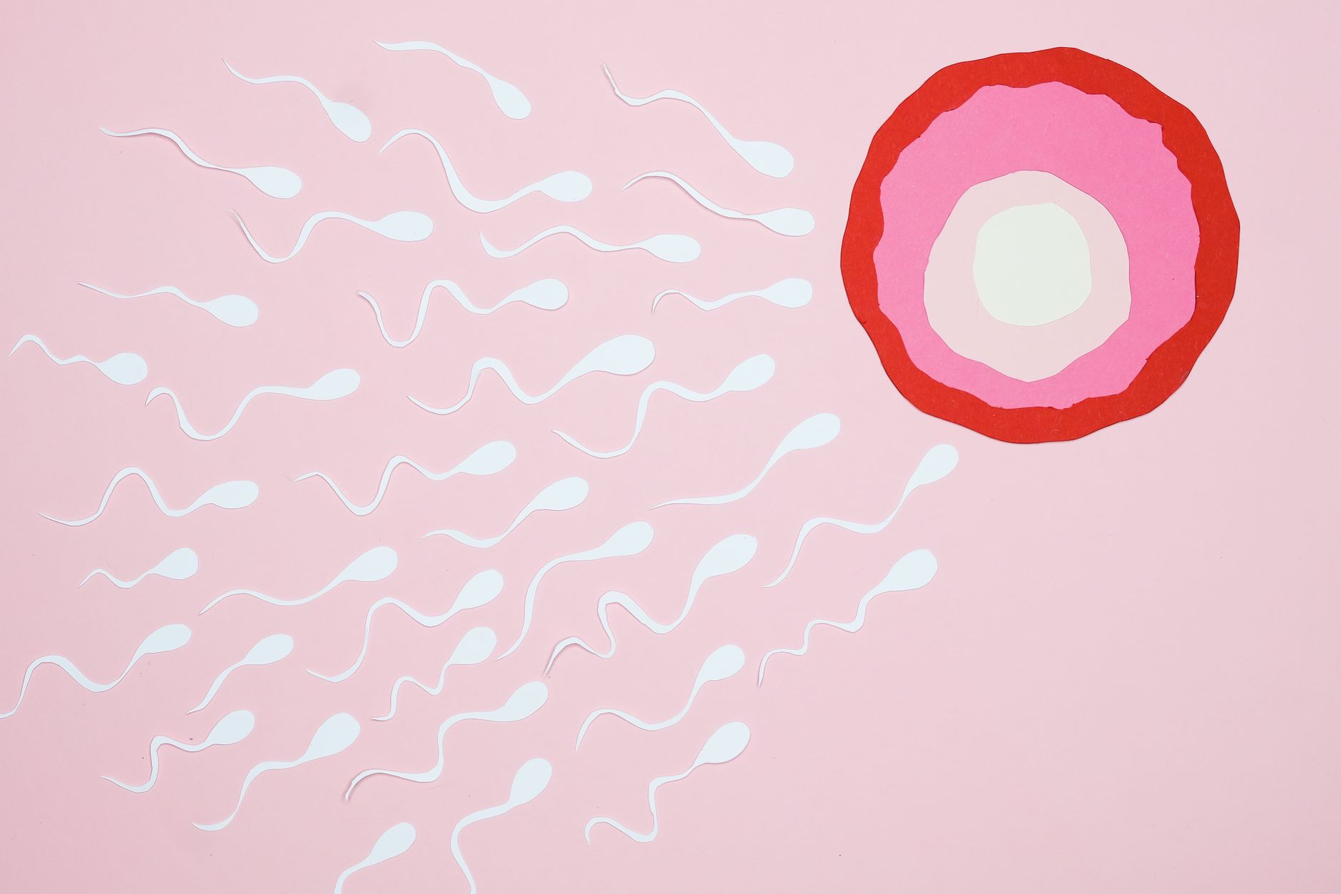 Unseen Risks: Everyday Habits Quietly Undermining Male Fertility