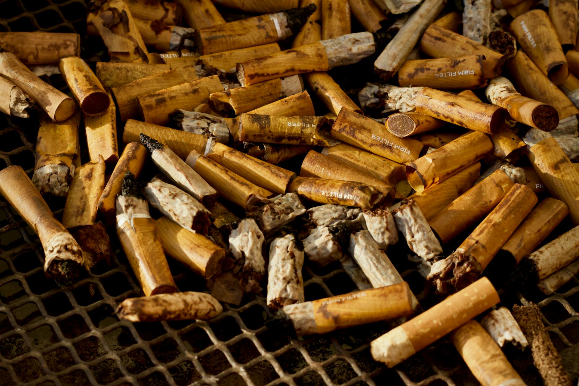 India Sees Decline in Environmental Crimes, Tobacco Violations Dominate