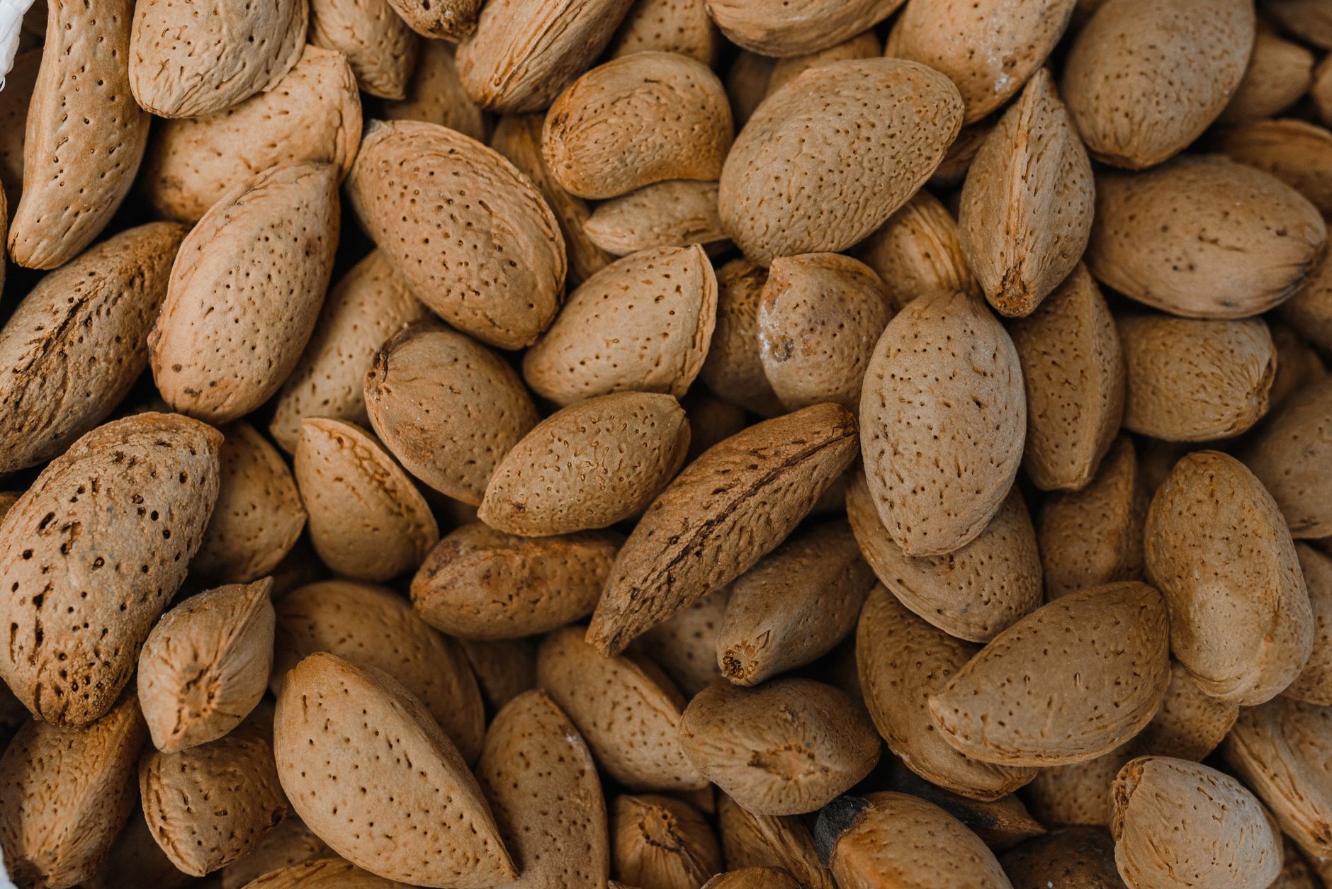 Exploring the Health Benefits of Magnesium: A Vital Mineral