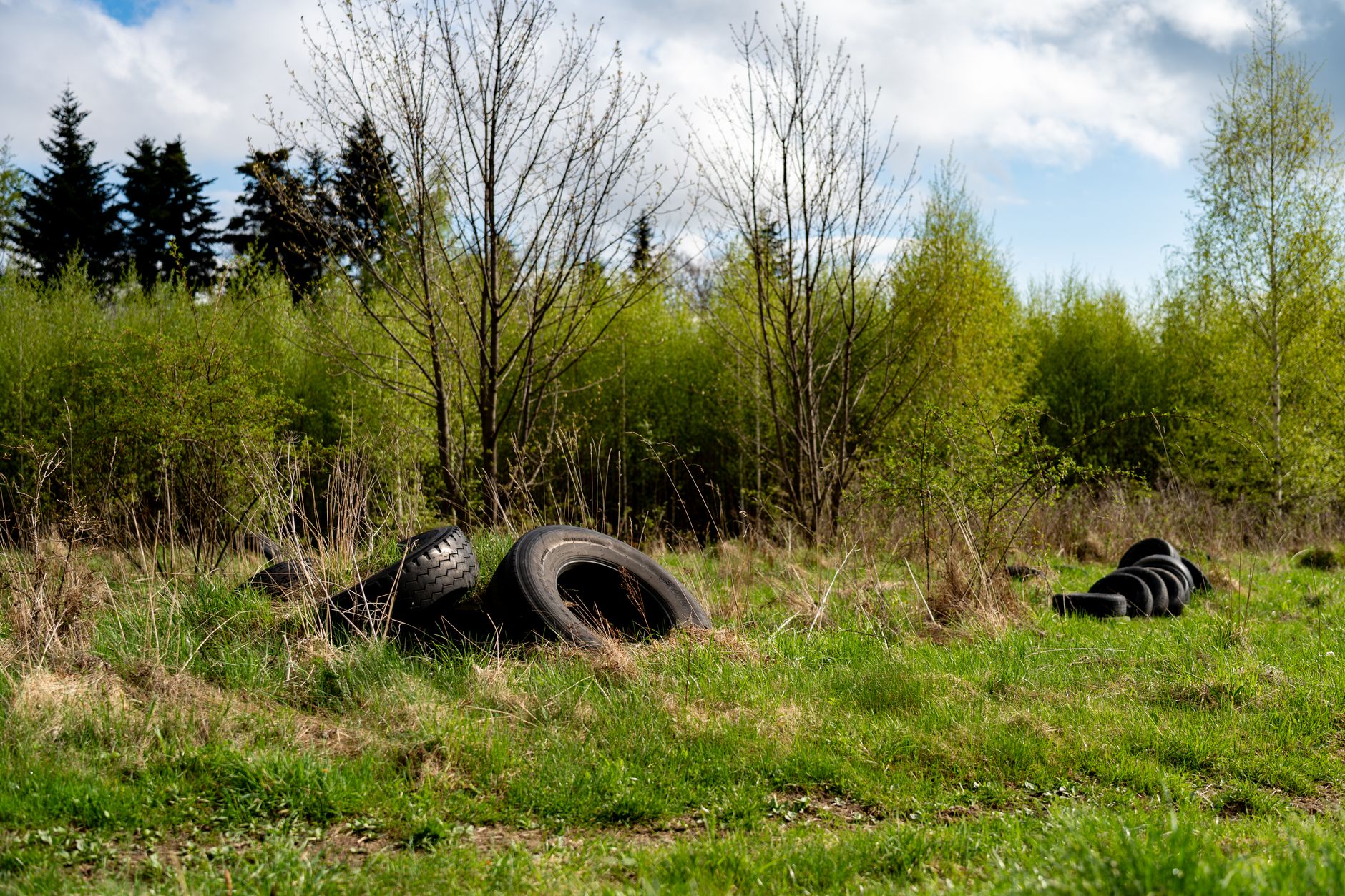 Germany and INTERPOL Unite to Tackle Environmental Crime