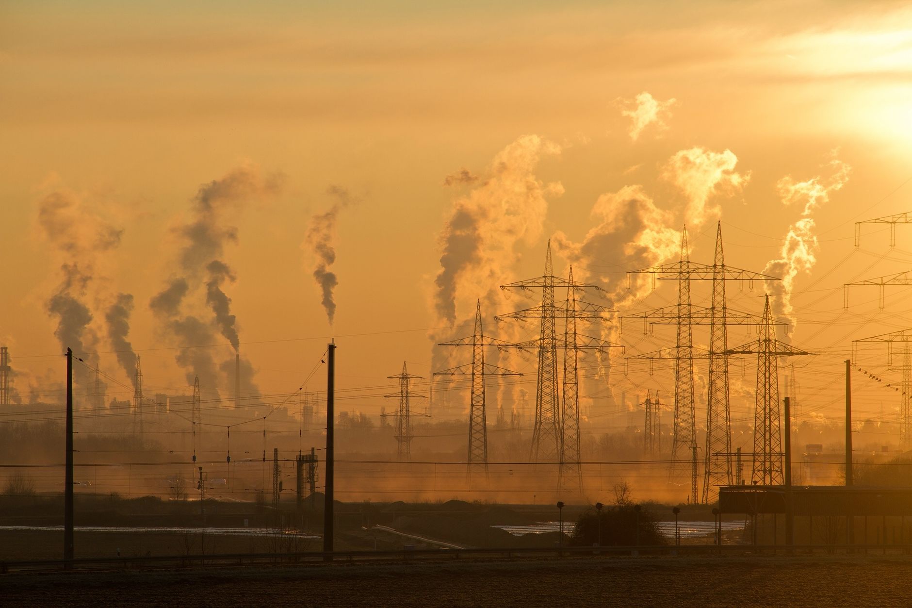 Europe's Sizzling Summer Signals Dire Climate Warning