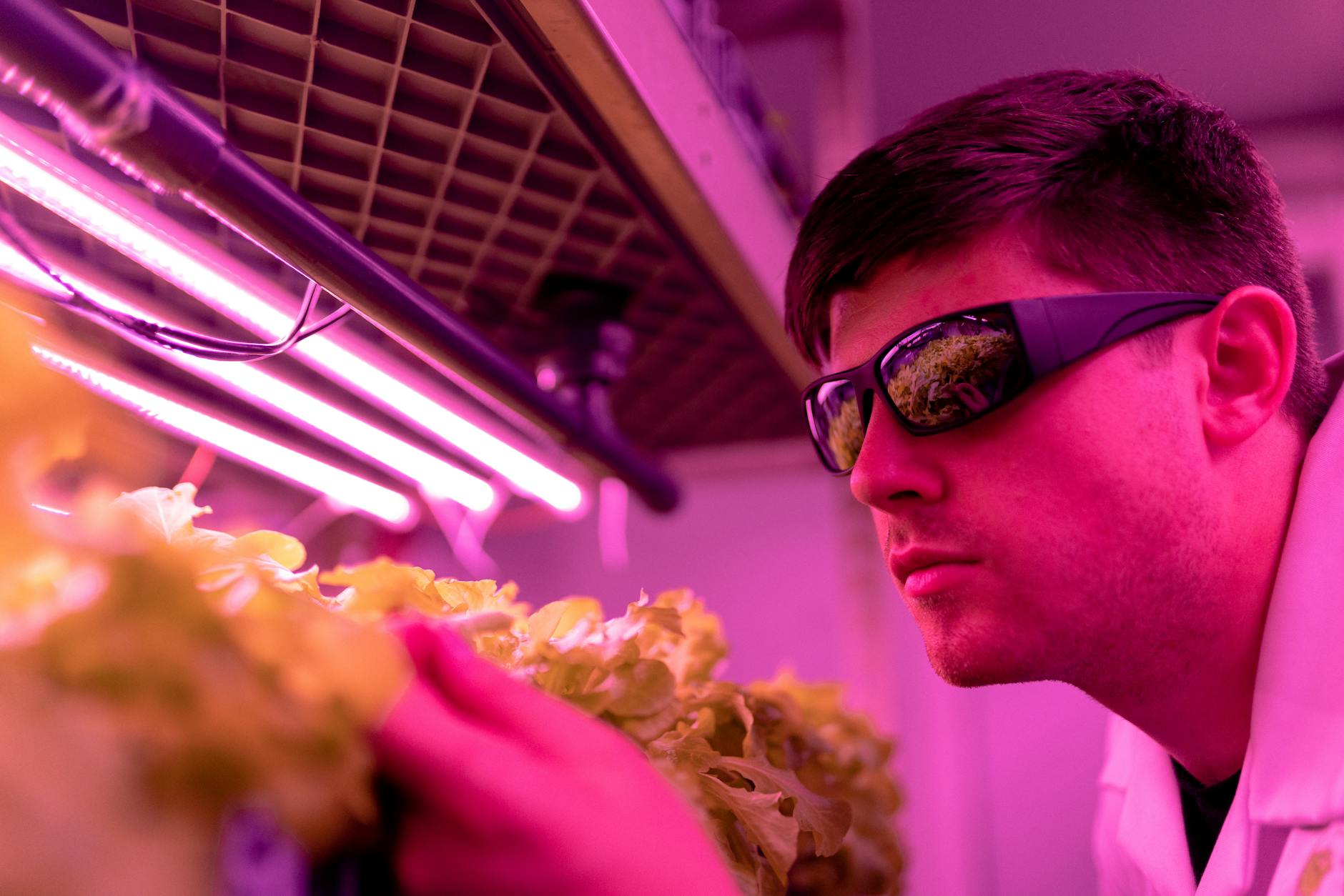 Innovative Tech Solutions Pave the Way to Feed 10 Billion