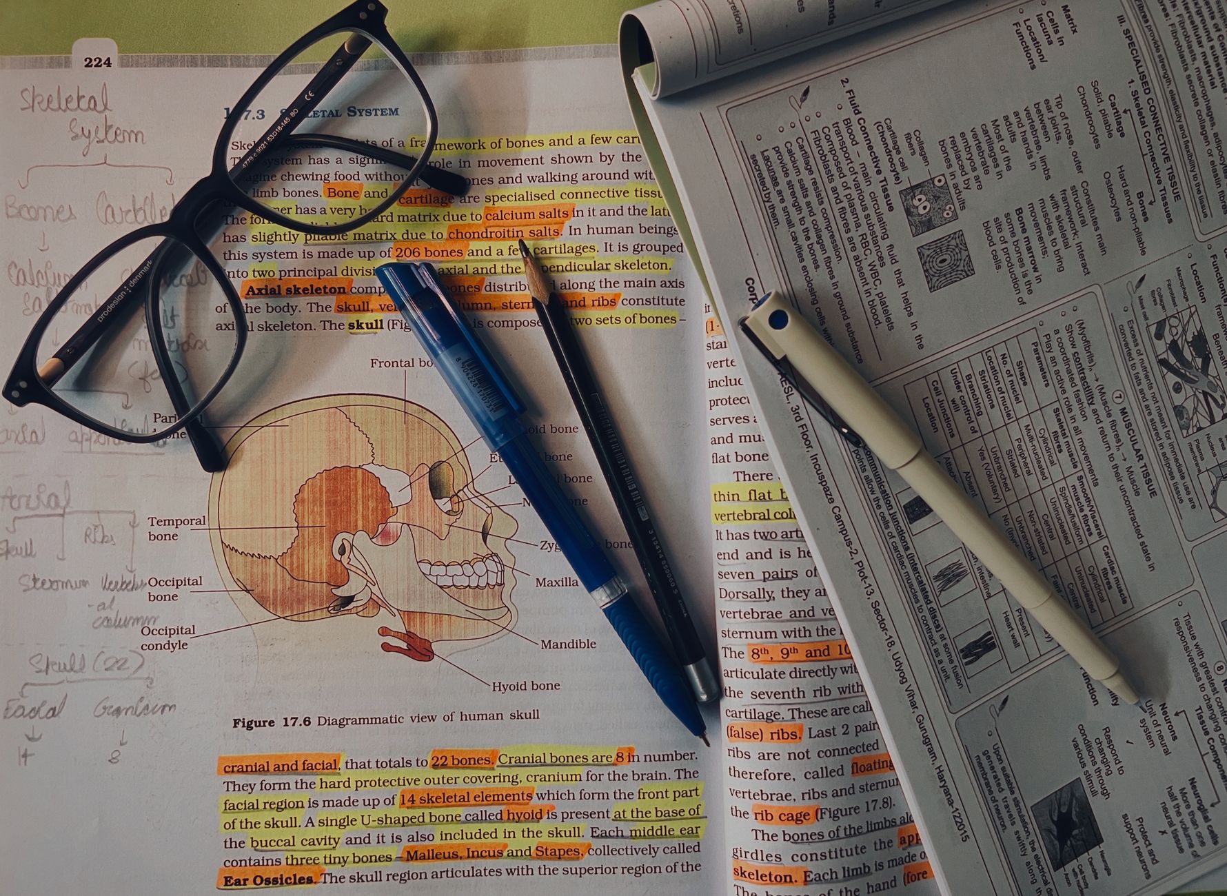 NCERT's Textbook Panel Rejig Sparks Debate Over RSS Influence