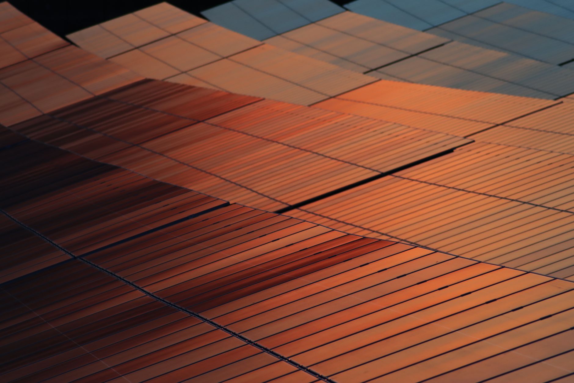 Inspired by Bees: A New Buzz in Solar Panel Design
