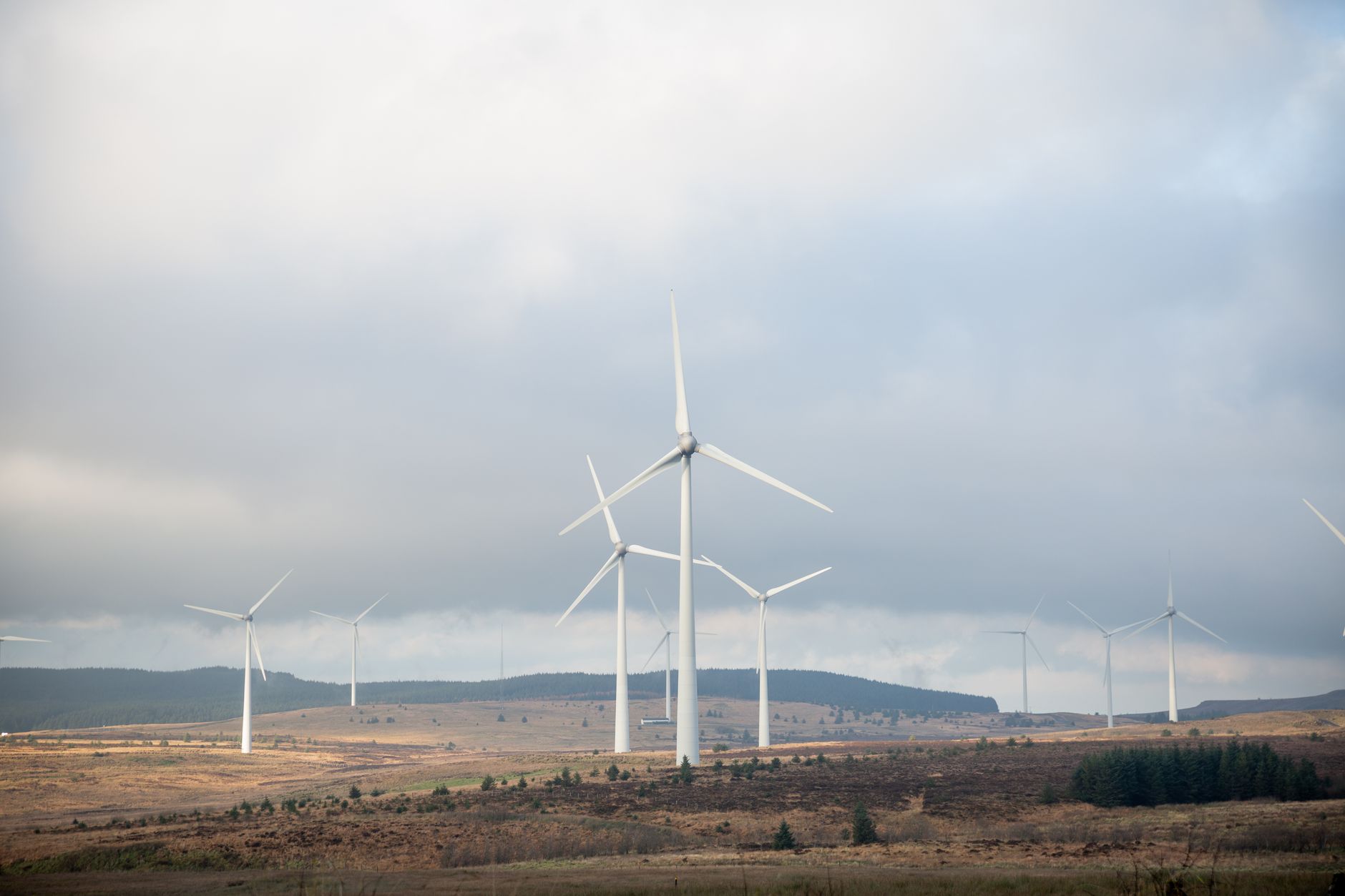 Watchdog Warns of Alarming Lag in Environmental Goals