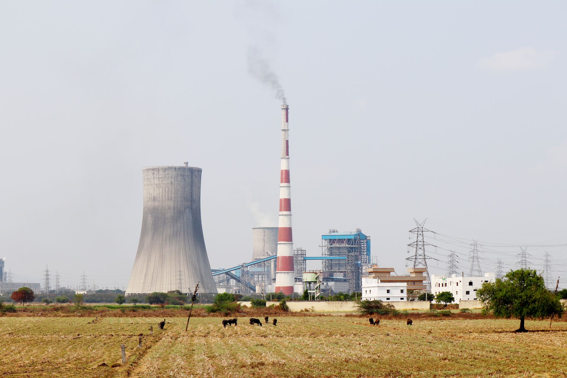 India Hosts BRICS Environment Summit, Eyes on Climate Cooperation
