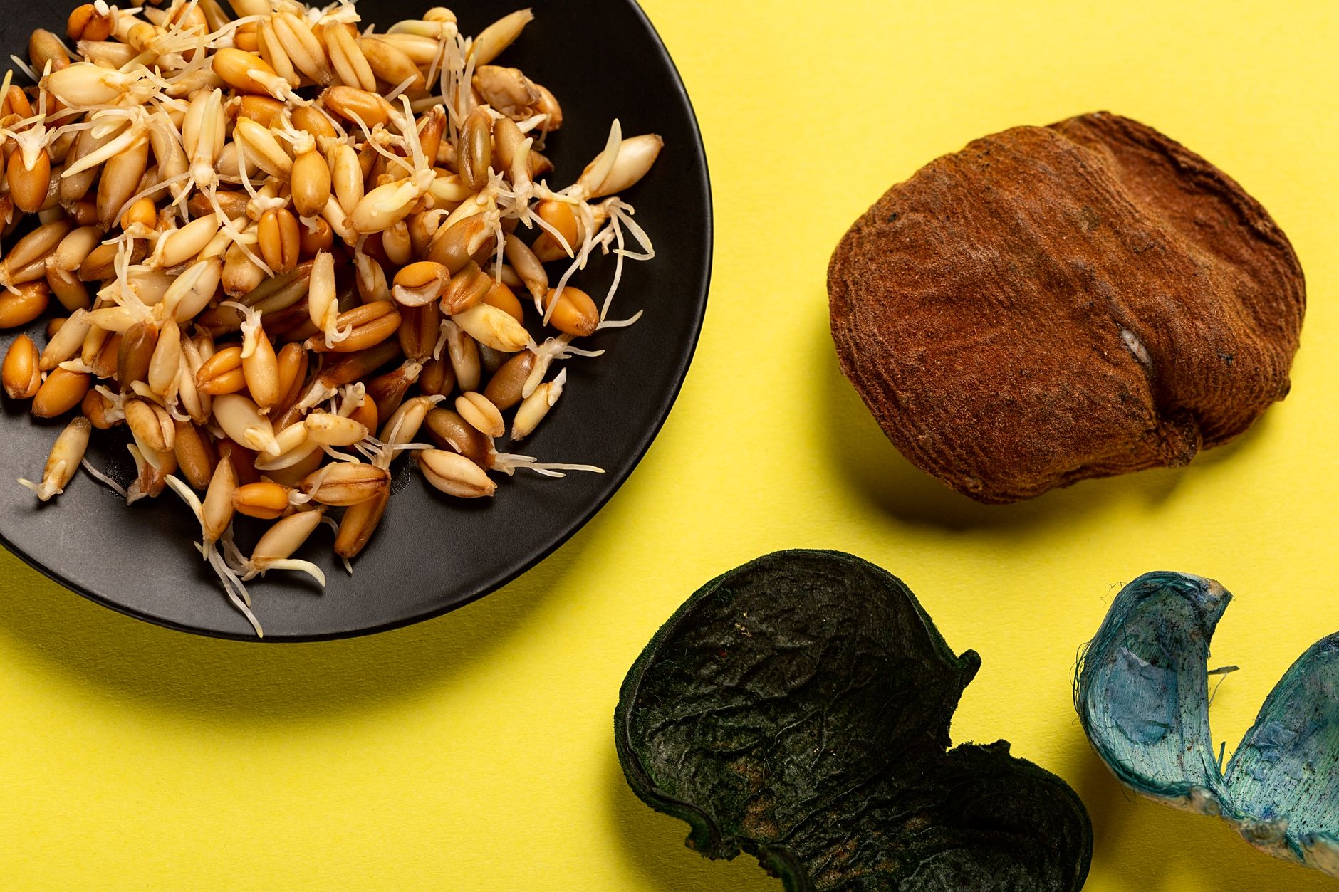 Sameera Reddy's Jackfruit Seed Delight: A Nutritional Treasure