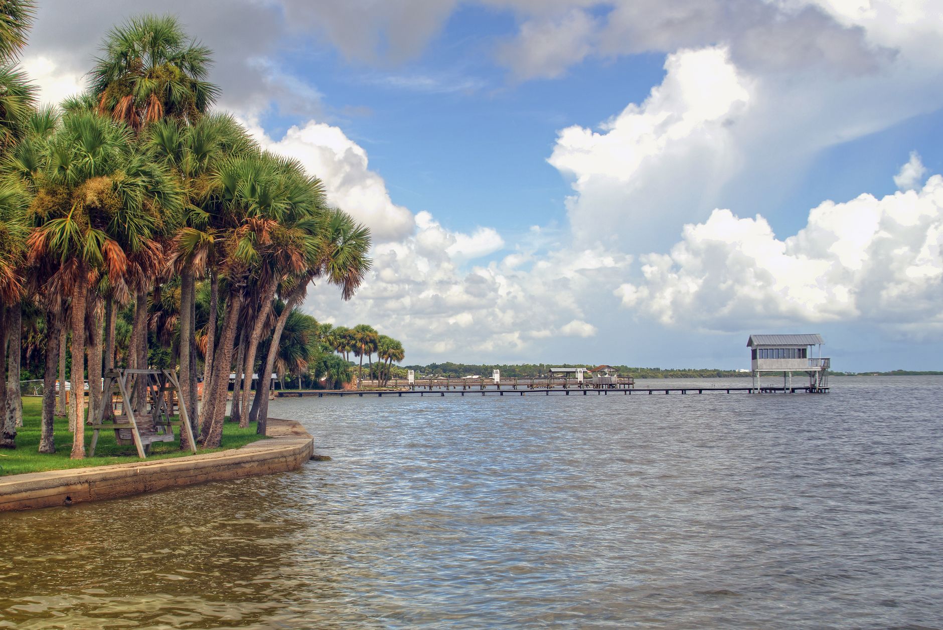 The Unexpected Revival of Florida's Clam Population
