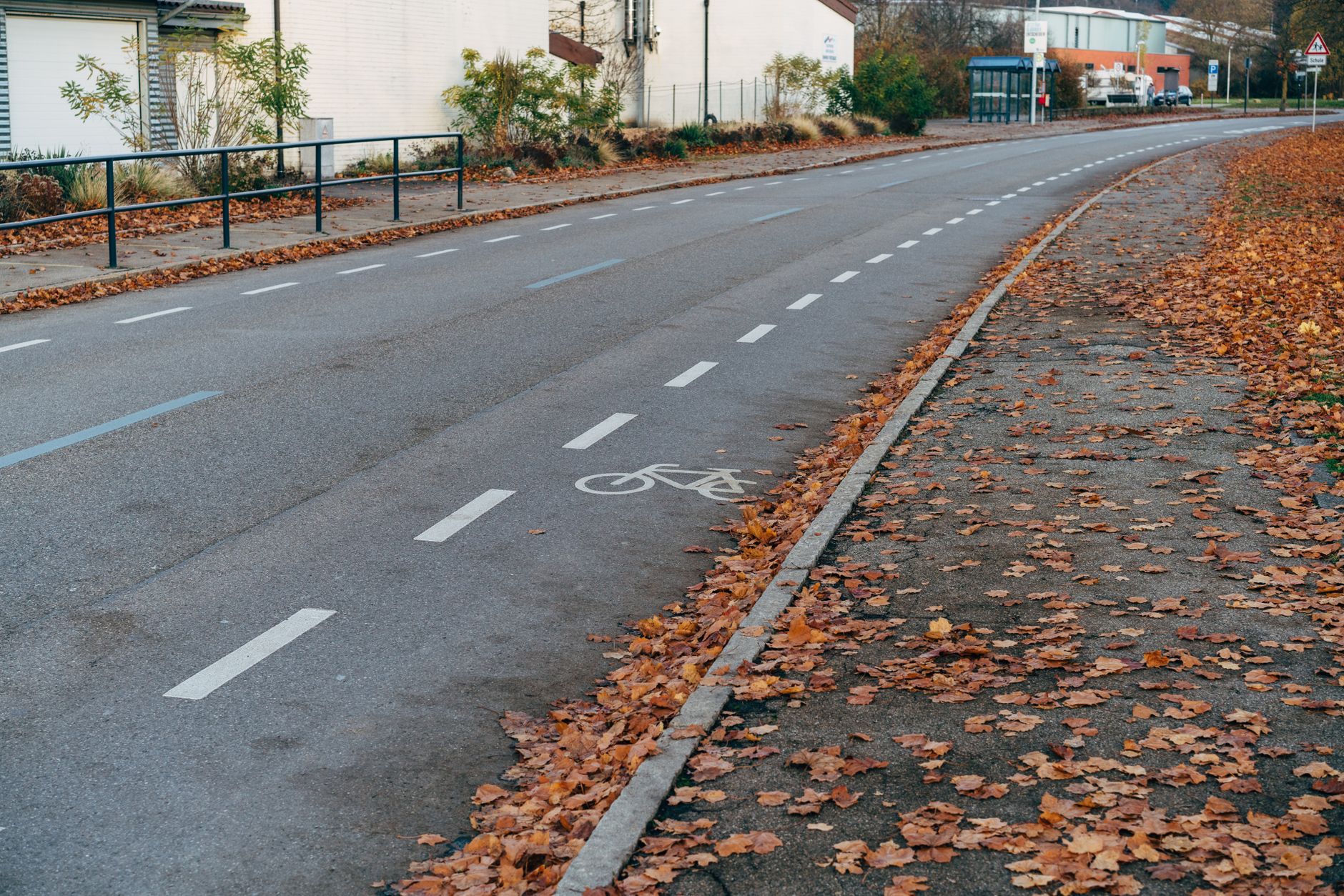 Guernsey's Battle with Overgrown Roadsides: A Request for Funds