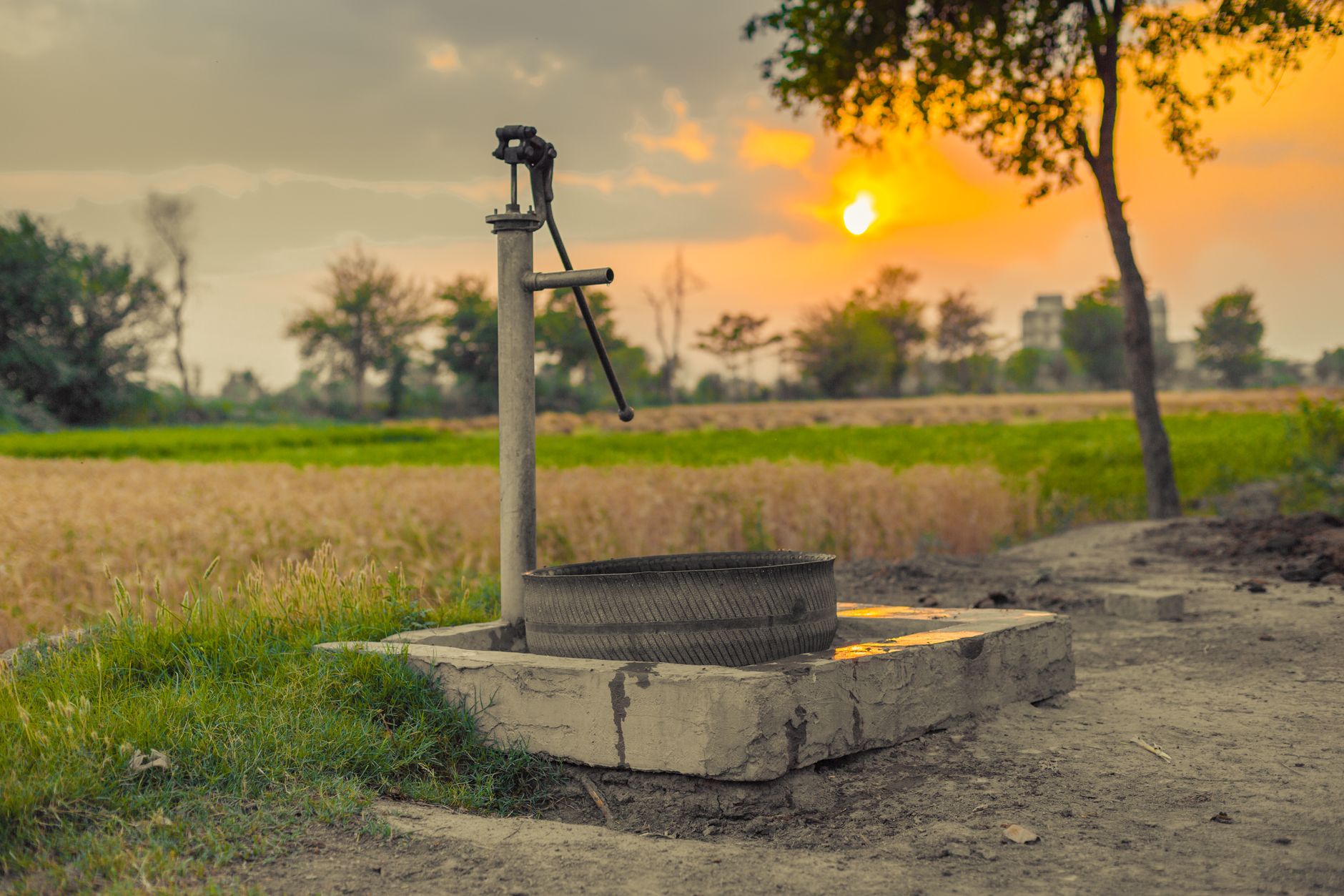 Striking a Balance: Groundwater Use in Agriculture and the Environment